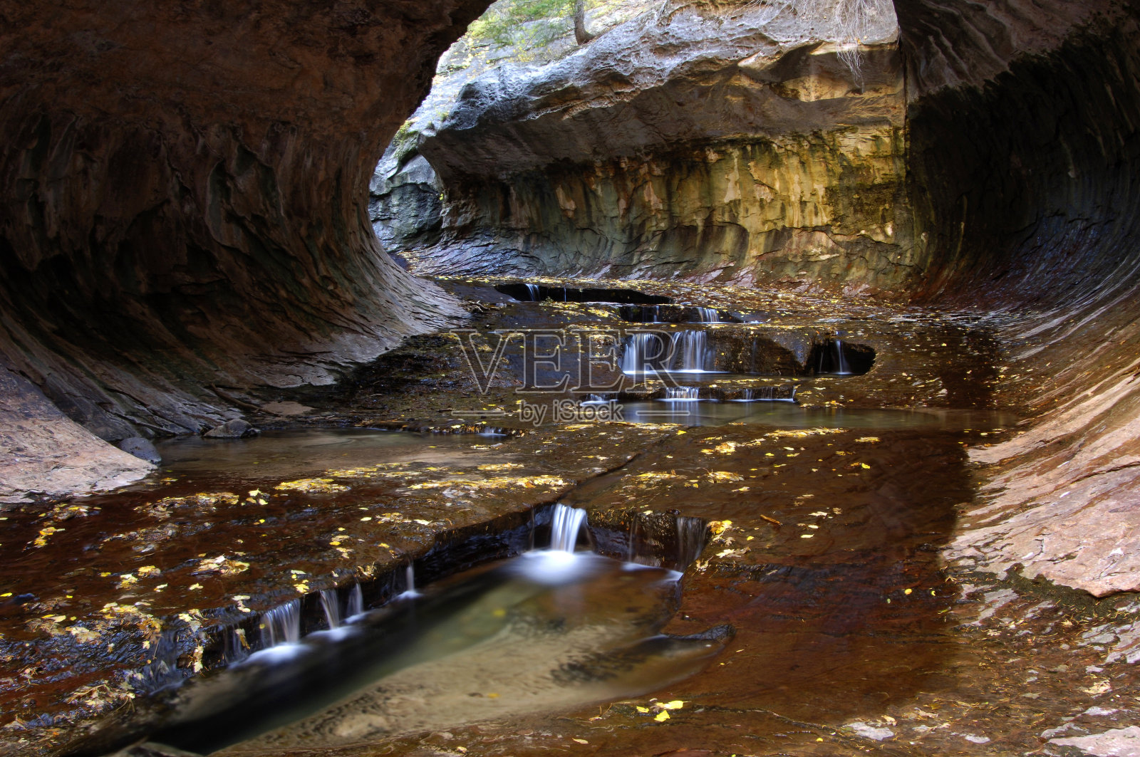 锡安国家公园的地铁大厅照片摄影图片