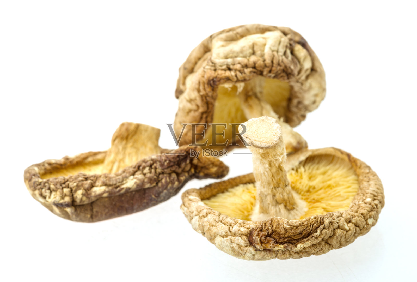 亚洲干蘑菇照片摄影图片