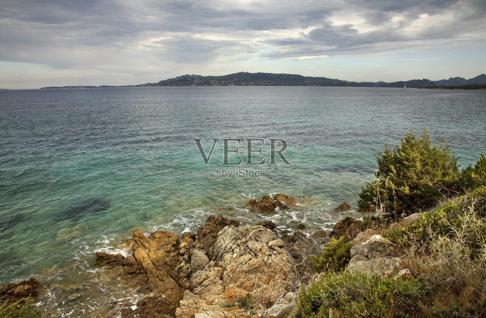 撒丁岛熊酋长。意大利照片摄影图片