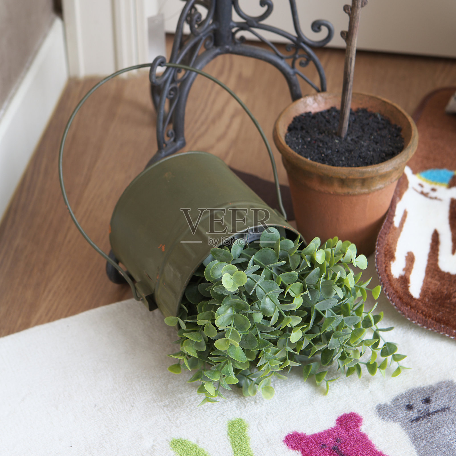 生活方式照片摄影图片