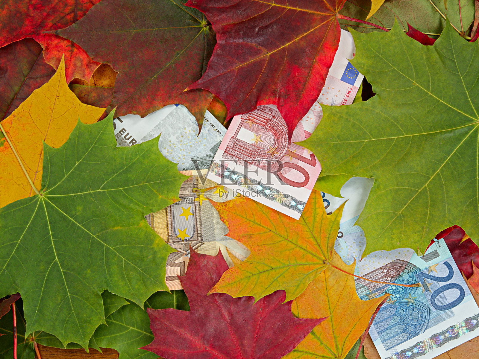 价格照片摄影图片