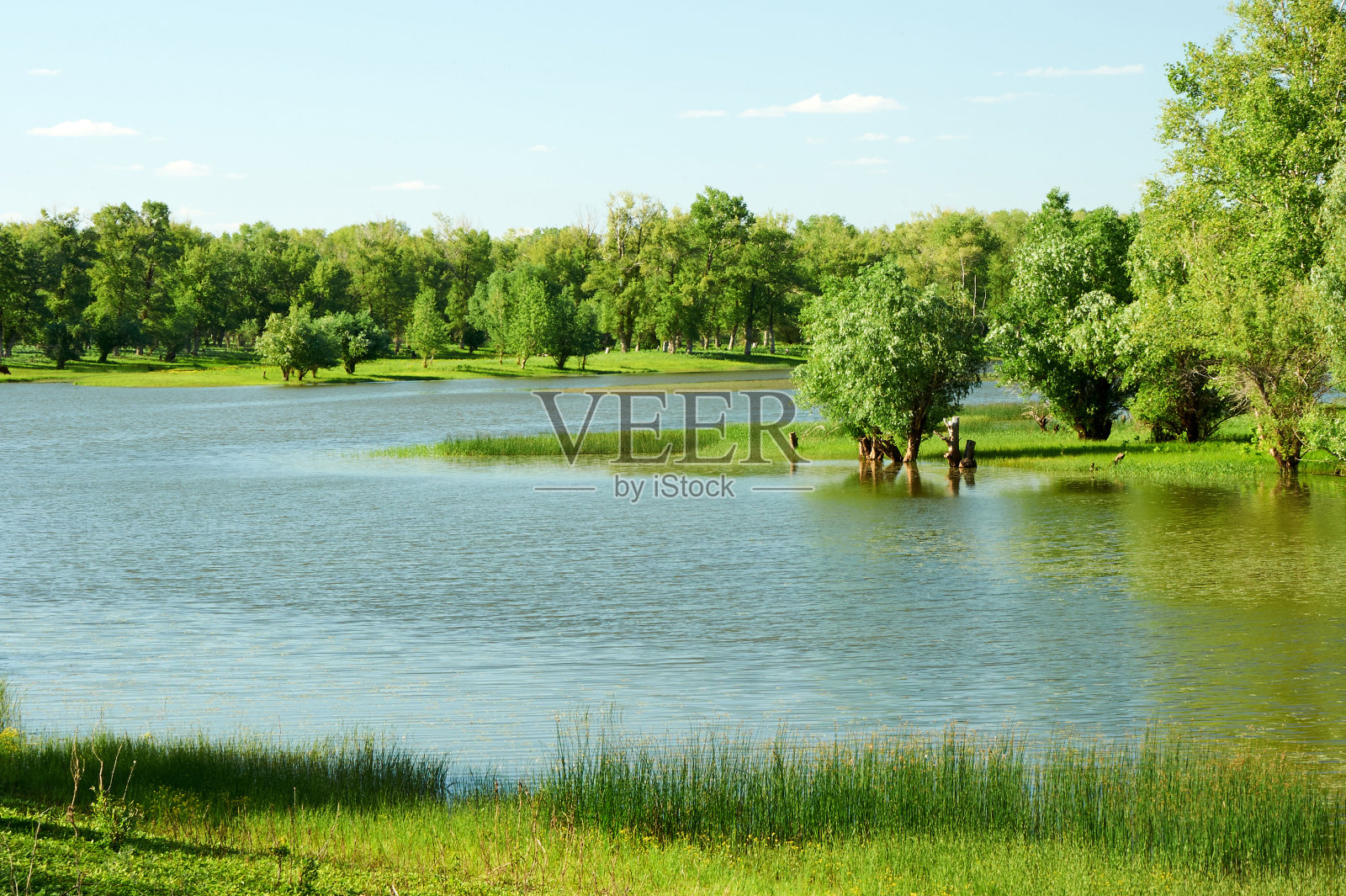 乌拉尔河。哈萨克斯坦。West-Kazakhstan地区。照片摄影图片