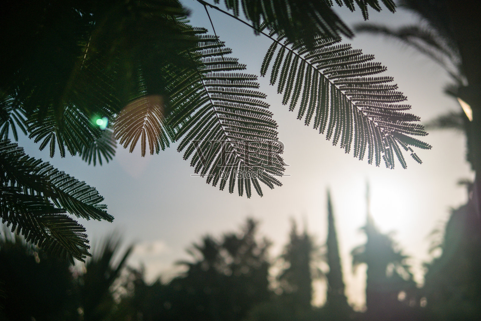 以色列的历史古迹照片摄影图片