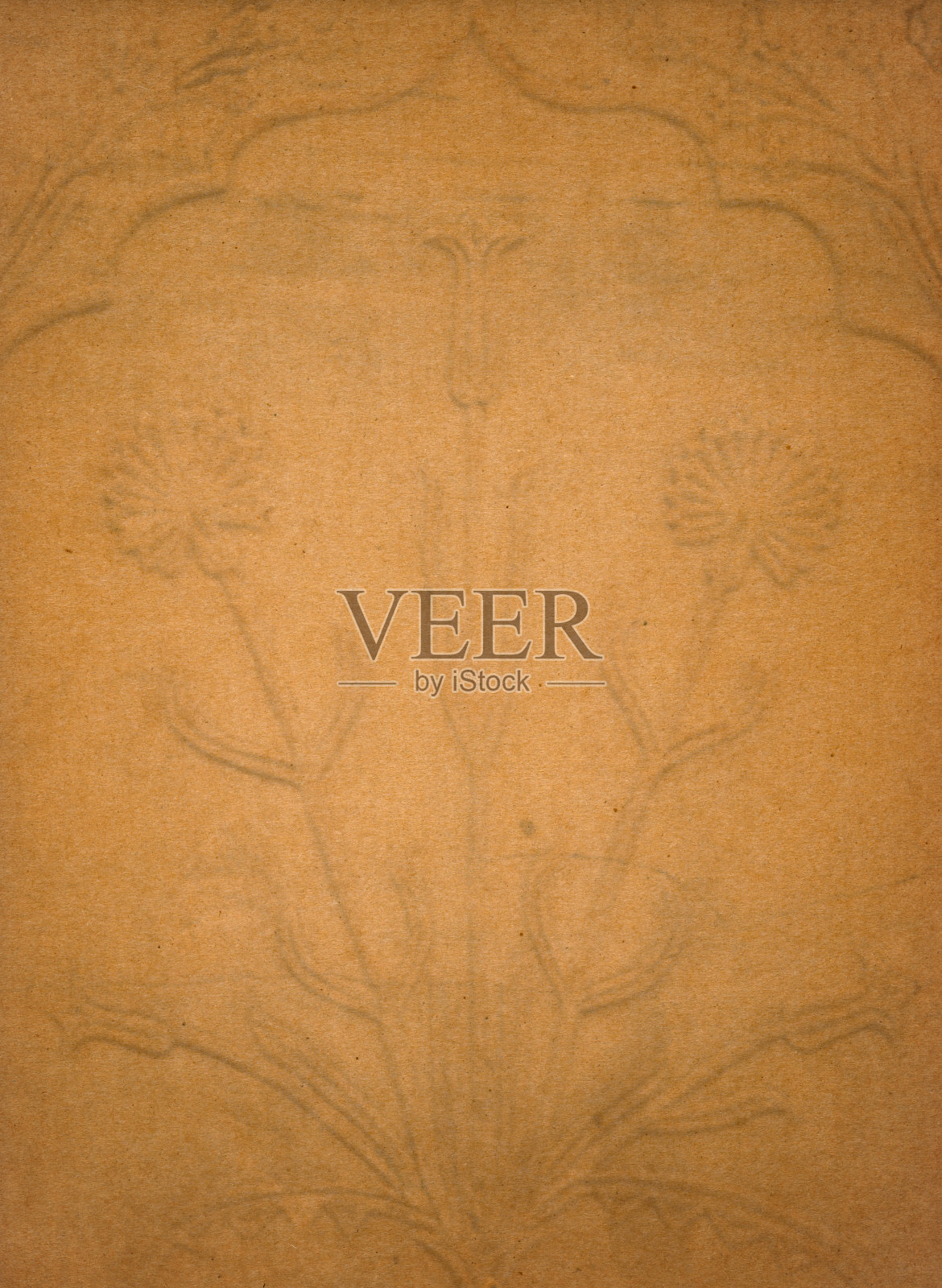 XXL论文背景照片摄影图片