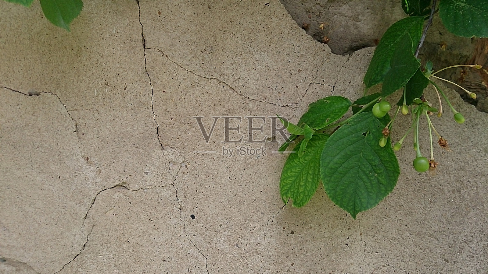 泥土墙。照片摄影图片