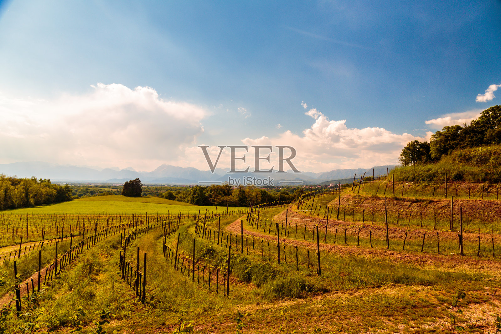 春天里的意大利田野照片摄影图片