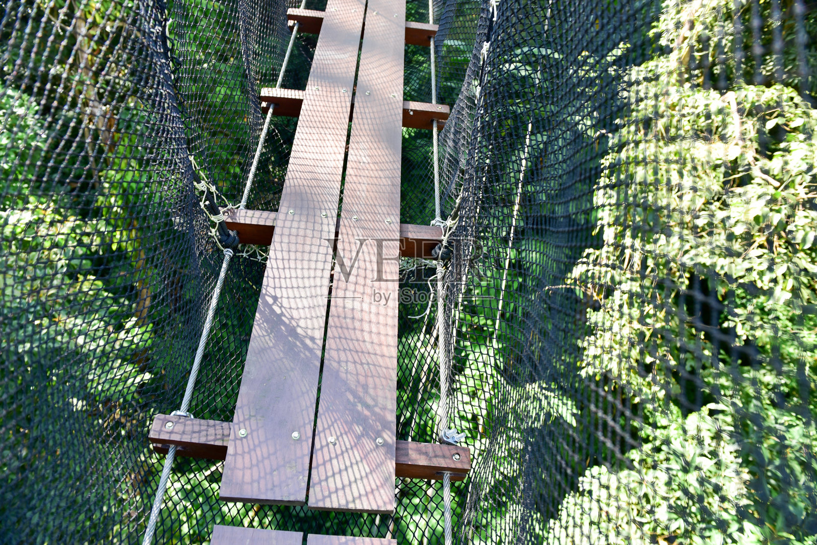 花和冒险照片摄影图片