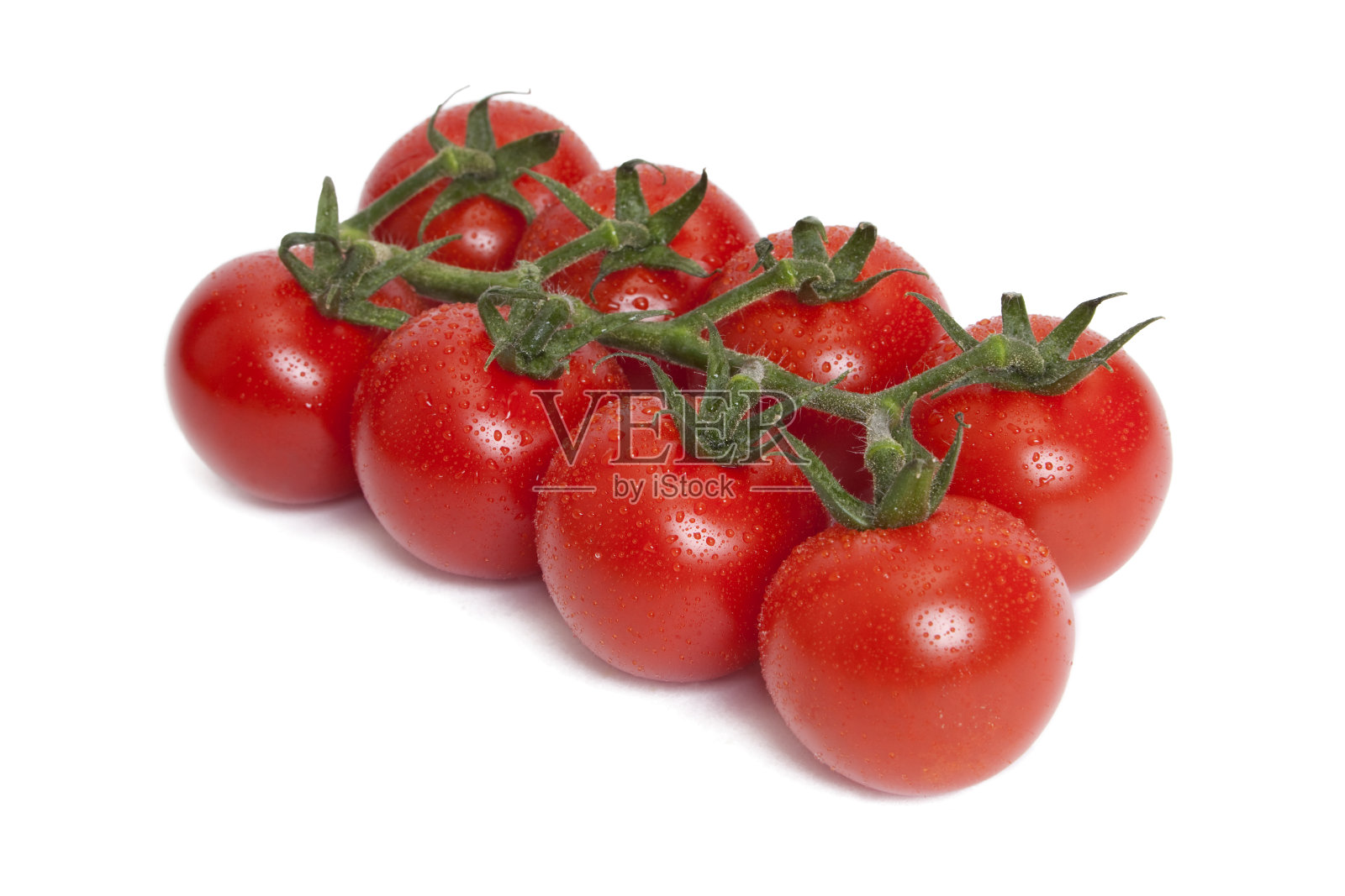 藤番茄-成熟和XXXL照片摄影图片