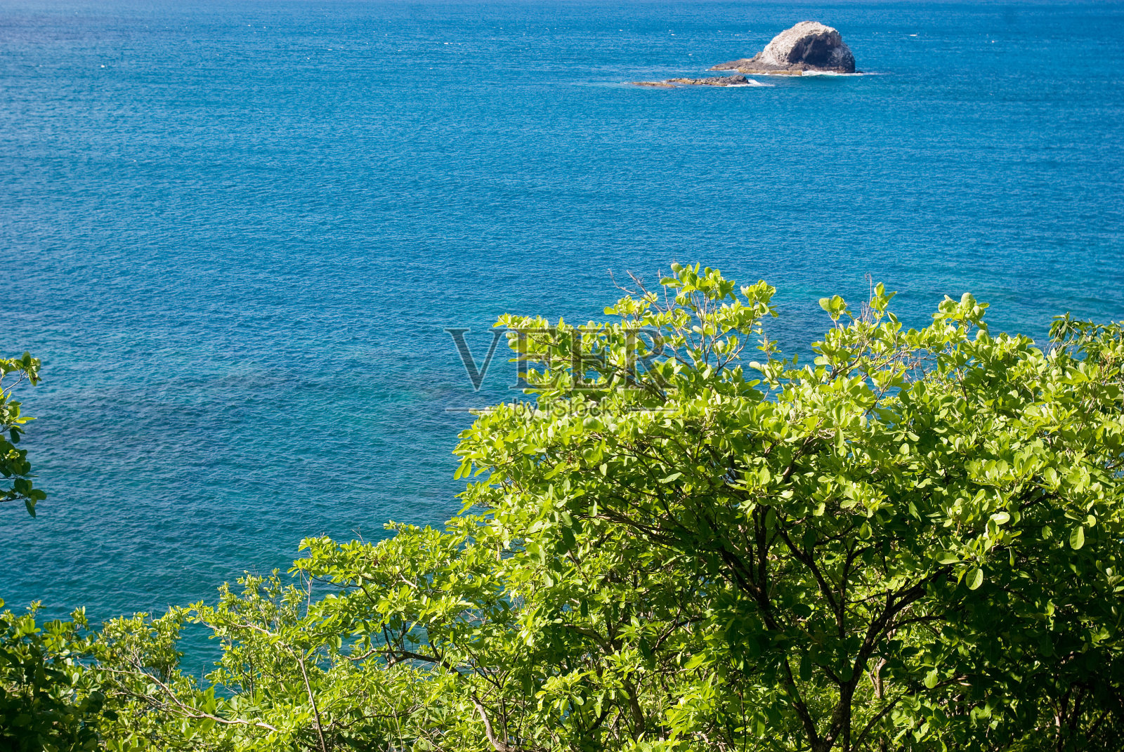 海洋和郁郁葱葱的绿色植被照片摄影图片