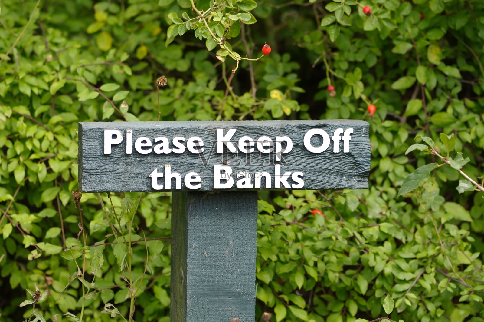 请远离河岸照片摄影图片