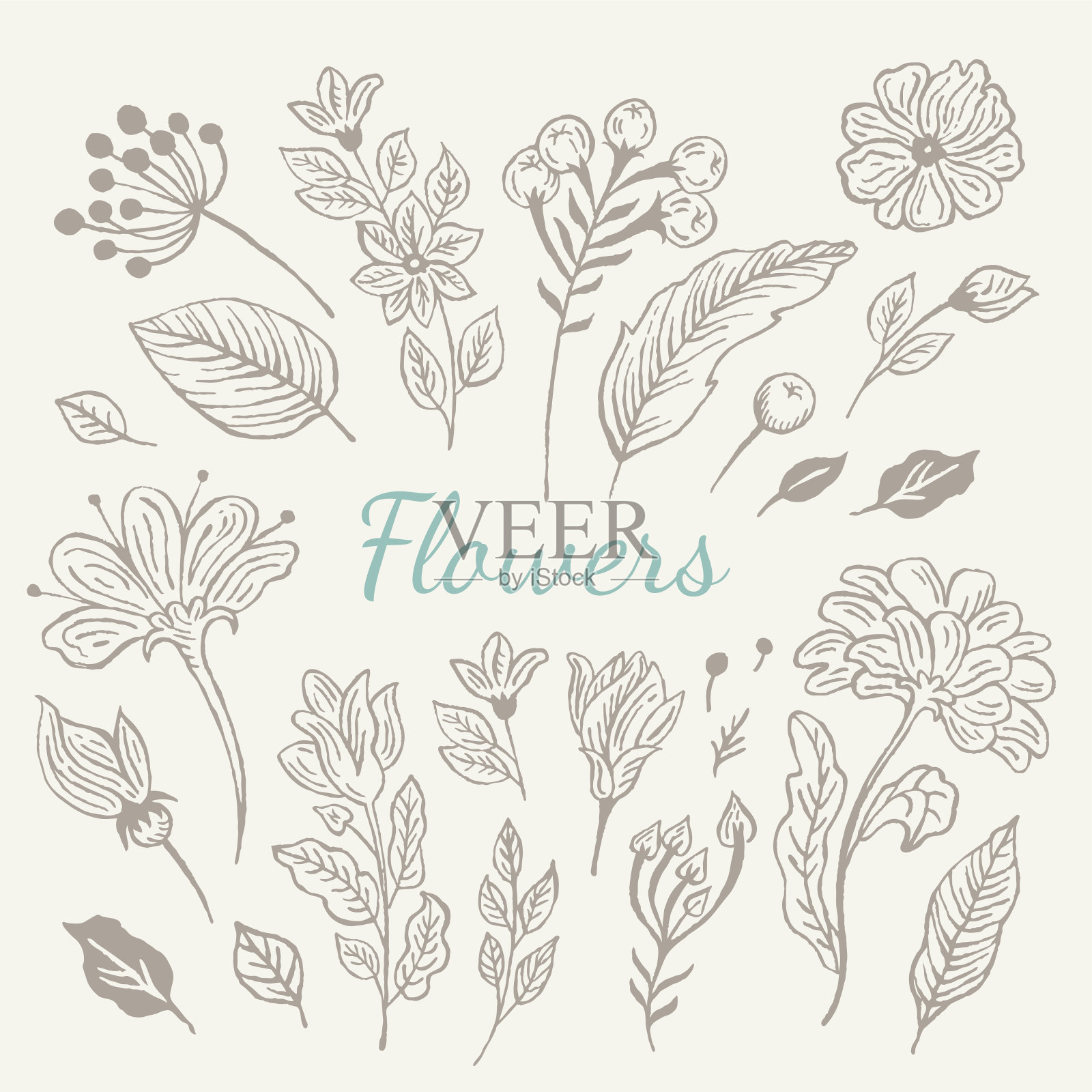 手绘古董花集插画图片素材