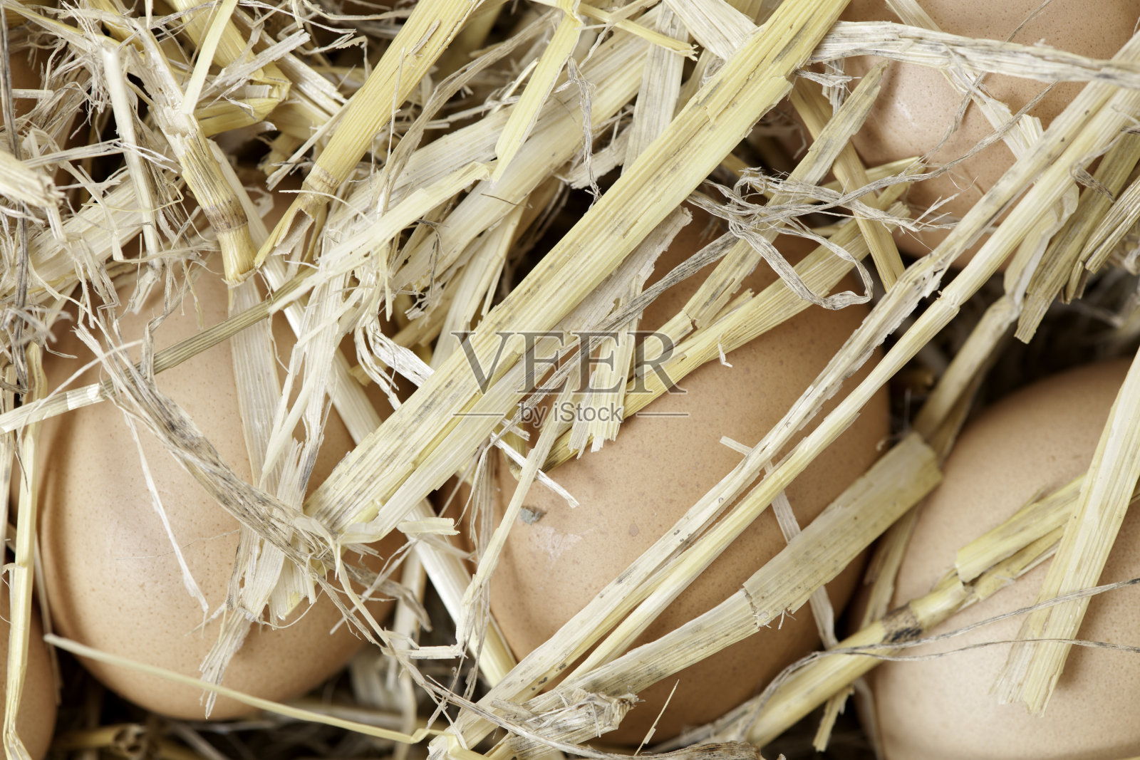 脆弱,保护照片摄影图片