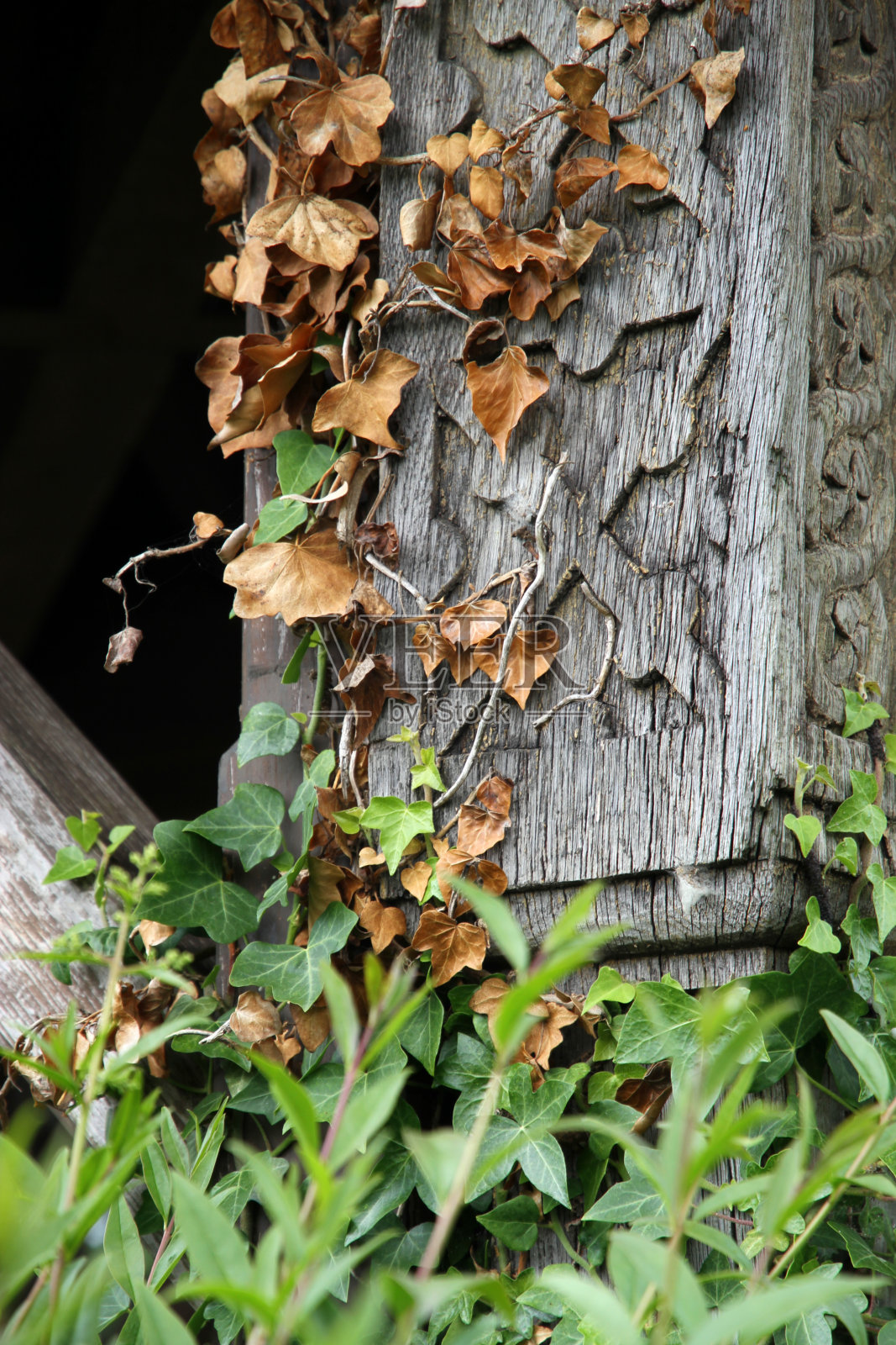 古老的支柱照片摄影图片