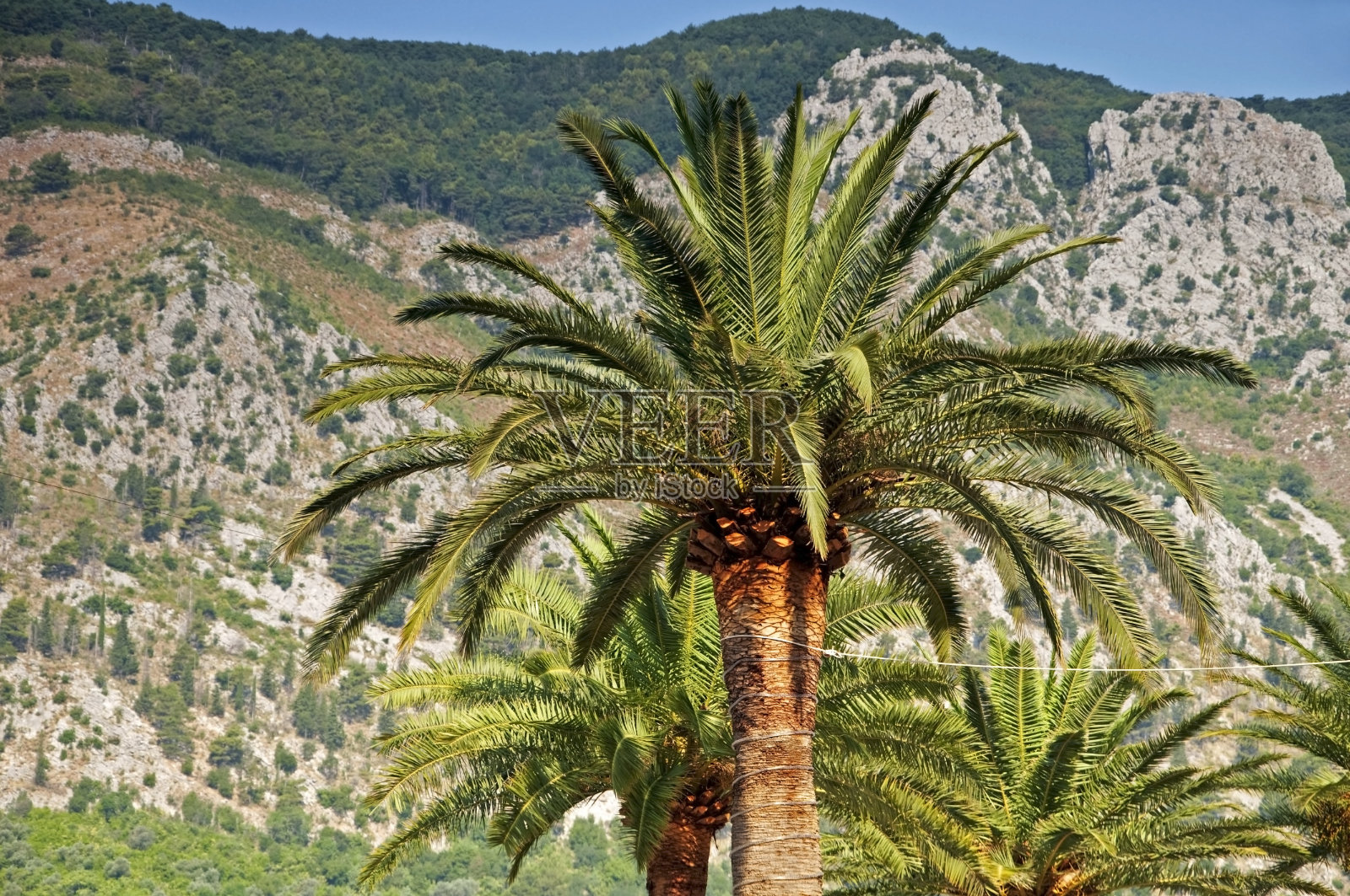 科托尔湾照片摄影图片