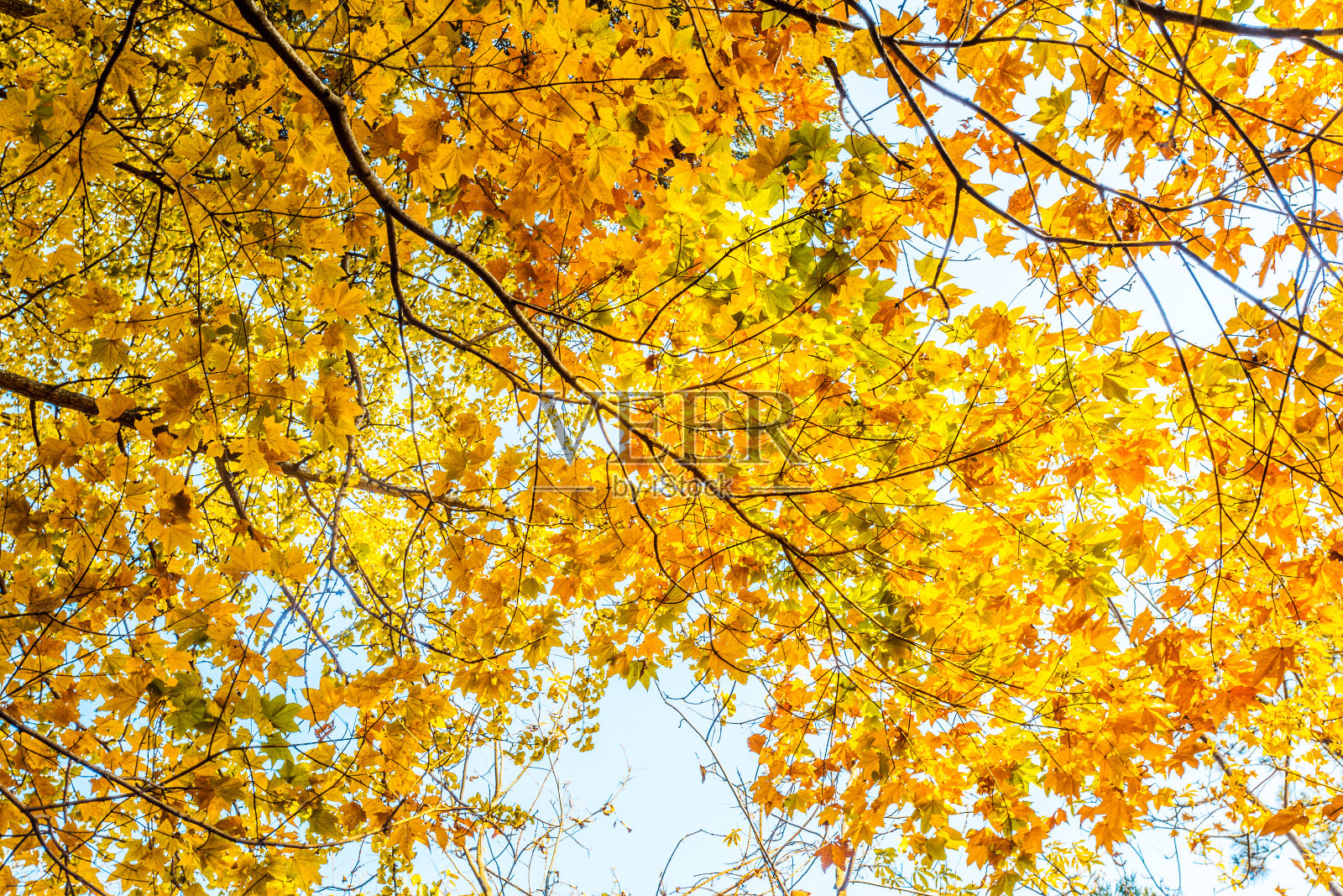 中国的秋色照片摄影图片