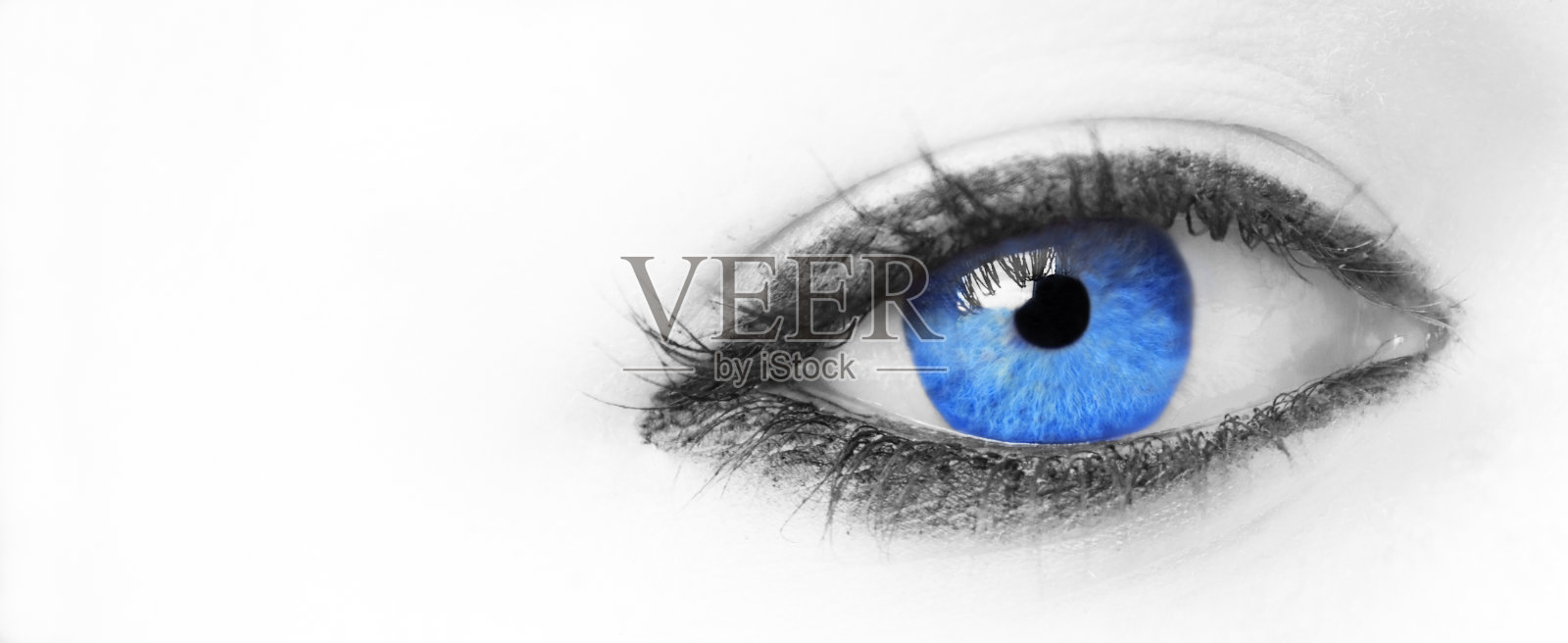 蓝眼照片摄影图片