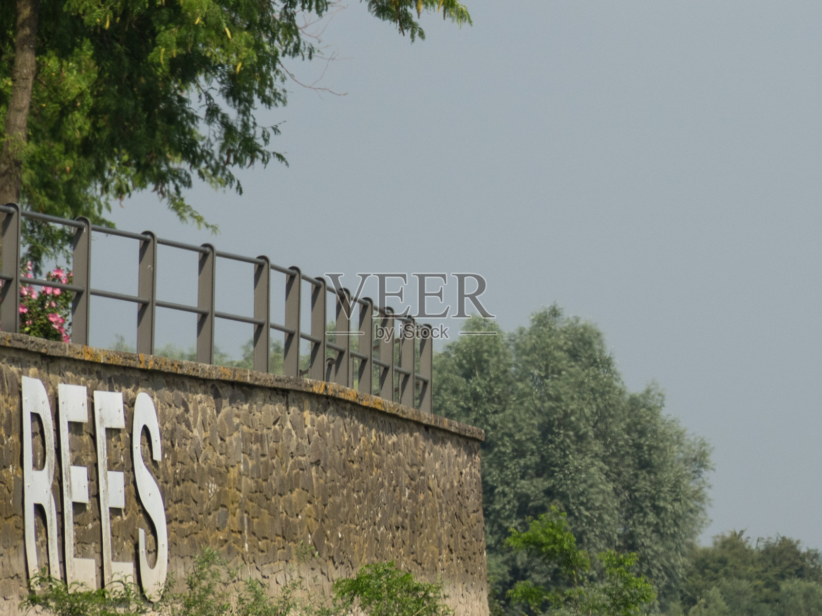 在莱茵河照片摄影图片