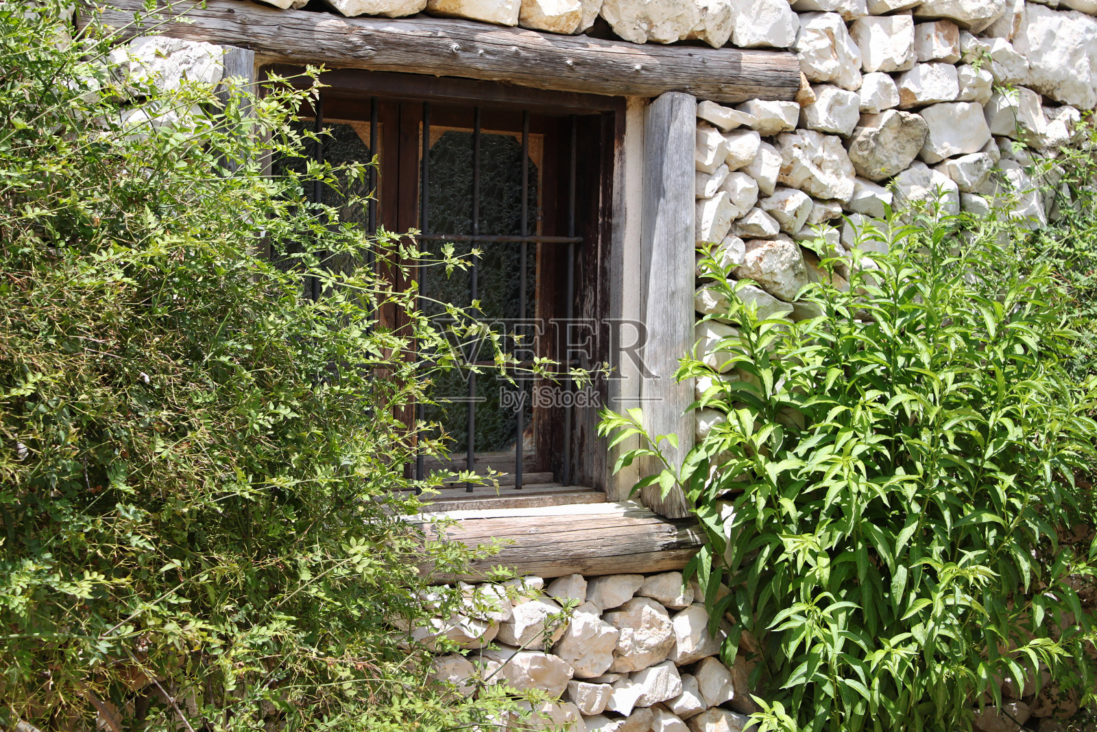 老窗户和树叶照片摄影图片