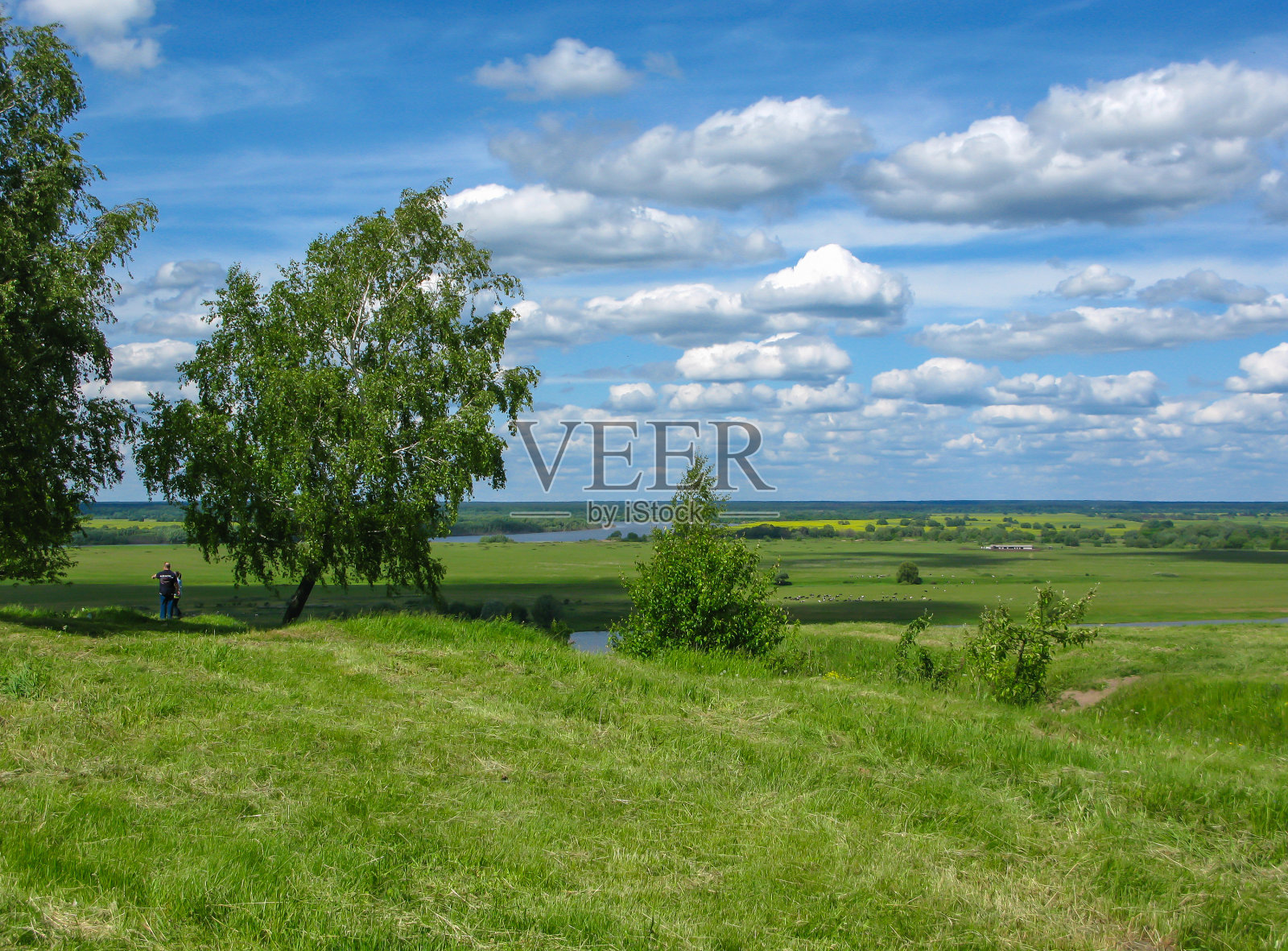 春天的阳光神奇明亮的田野，美丽的阳光蓝天照片摄影图片