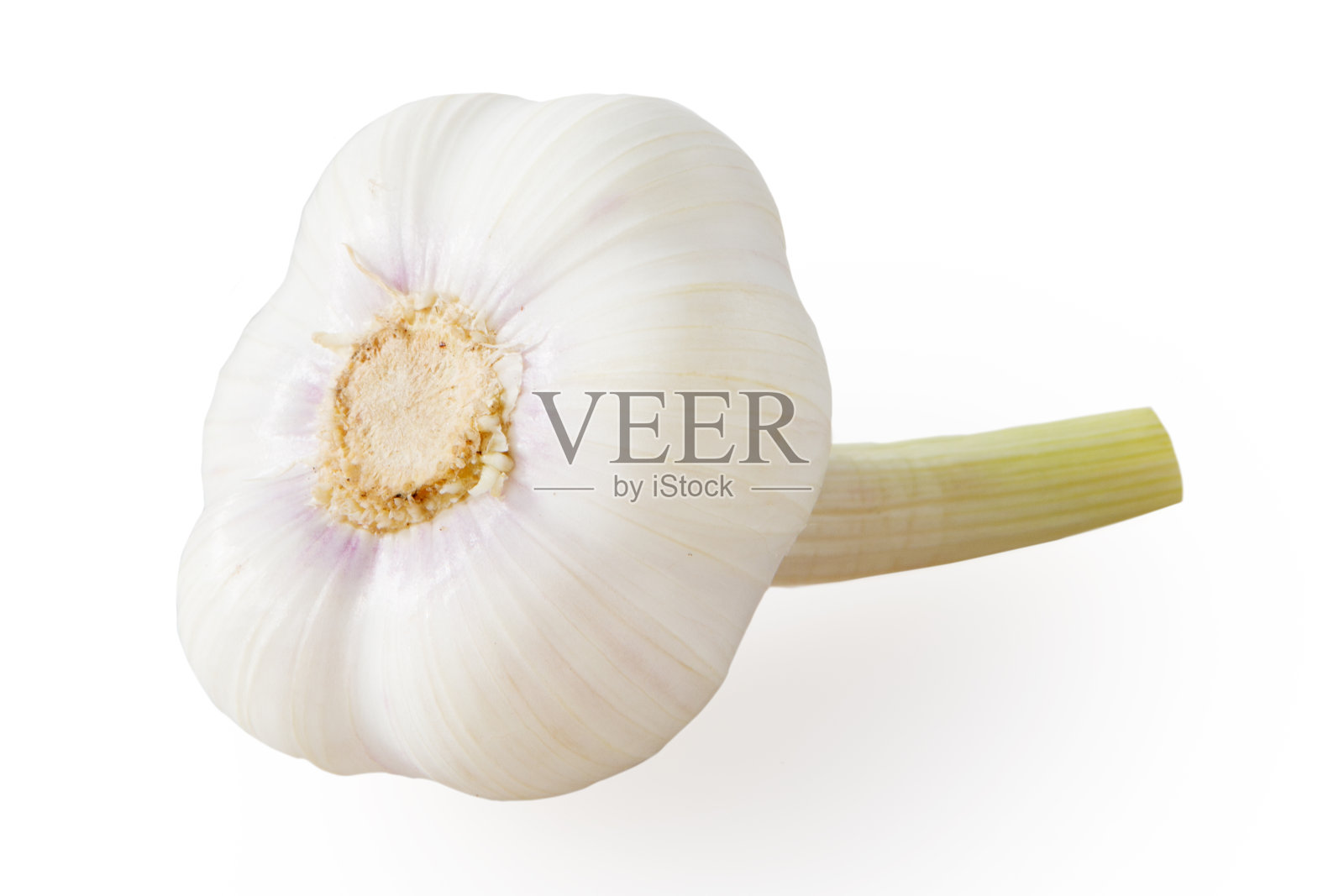 大蒜孤立放置在白色背景上照片摄影图片