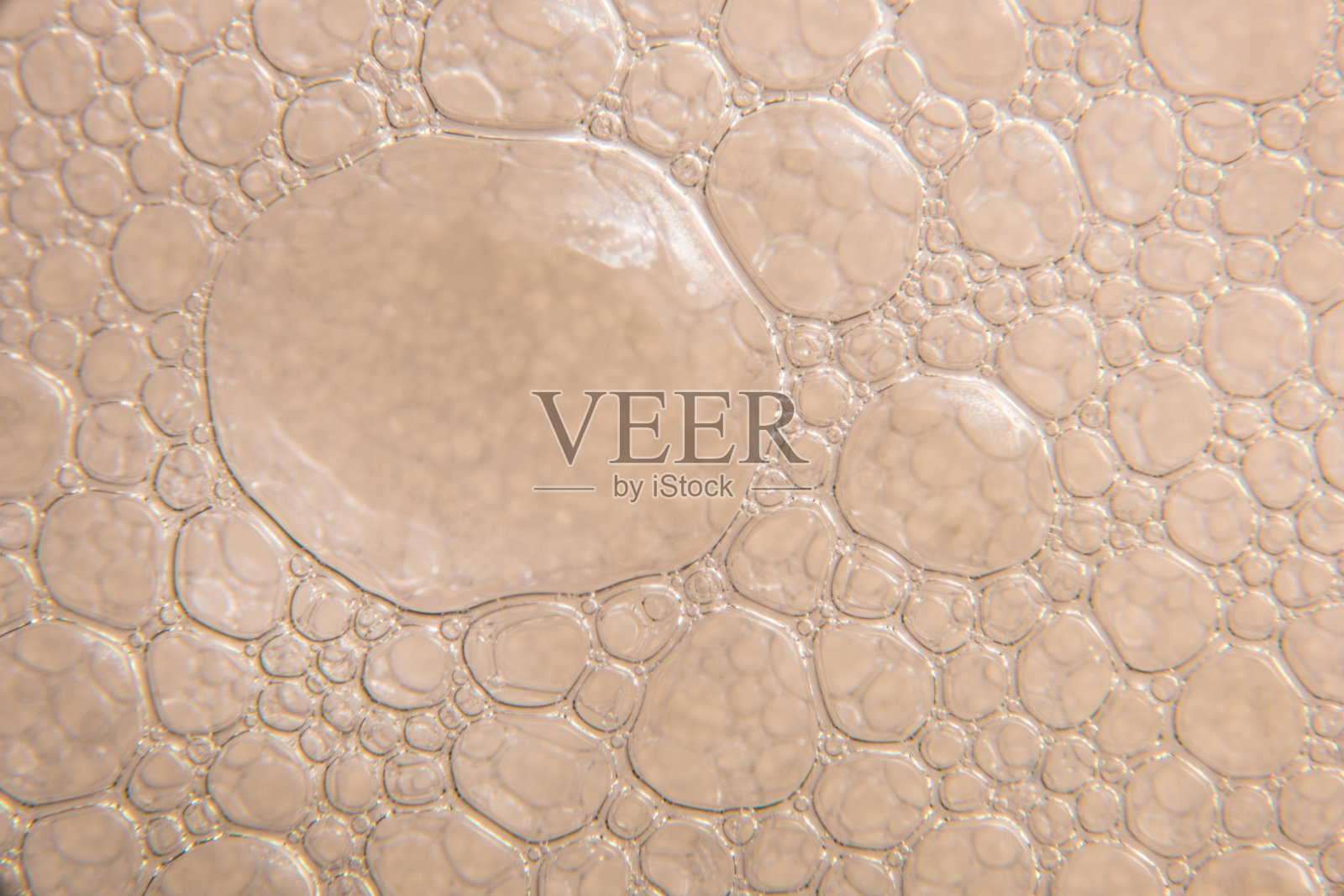 香槟金泡沫照片摄影图片