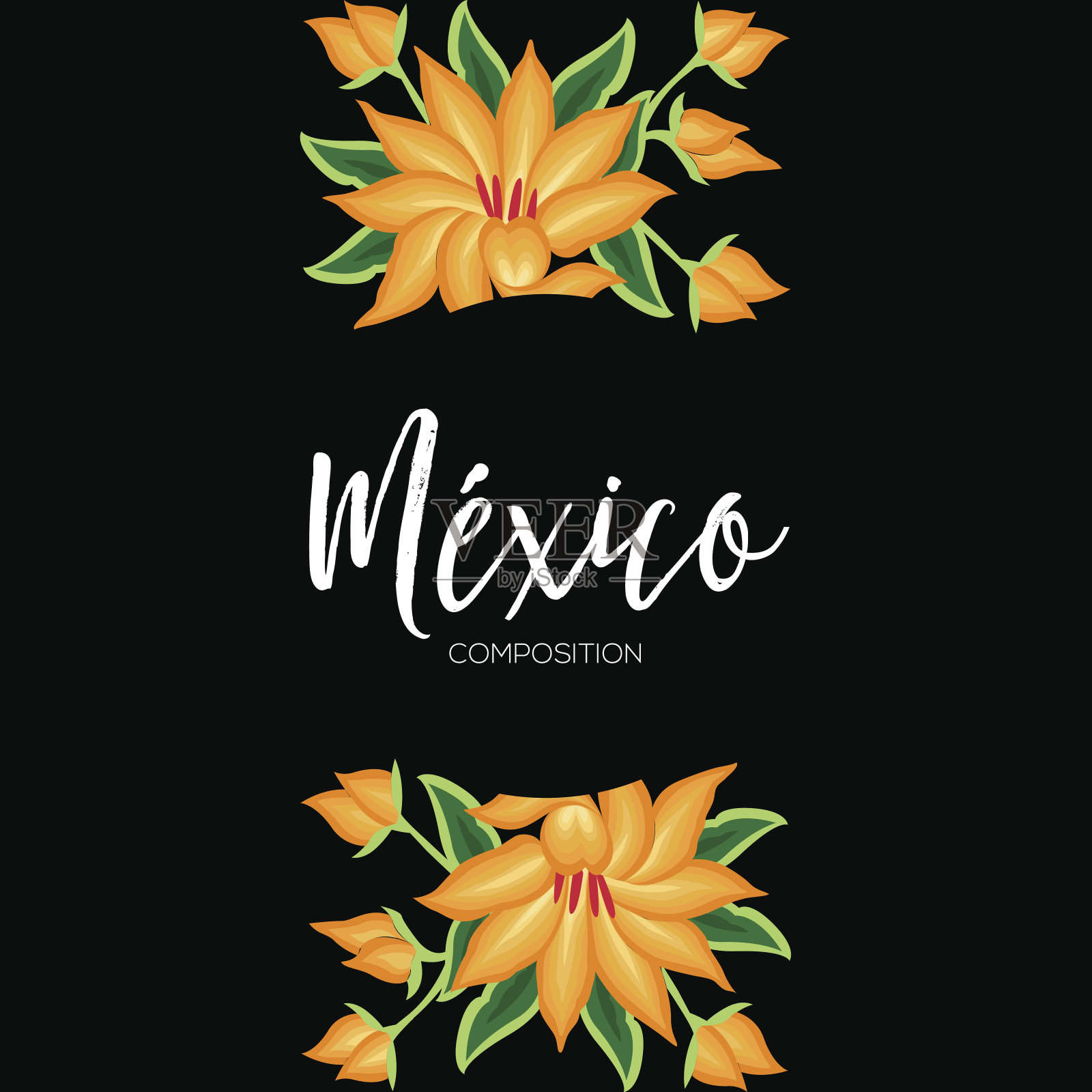 México花组成-复制空间插画图片素材