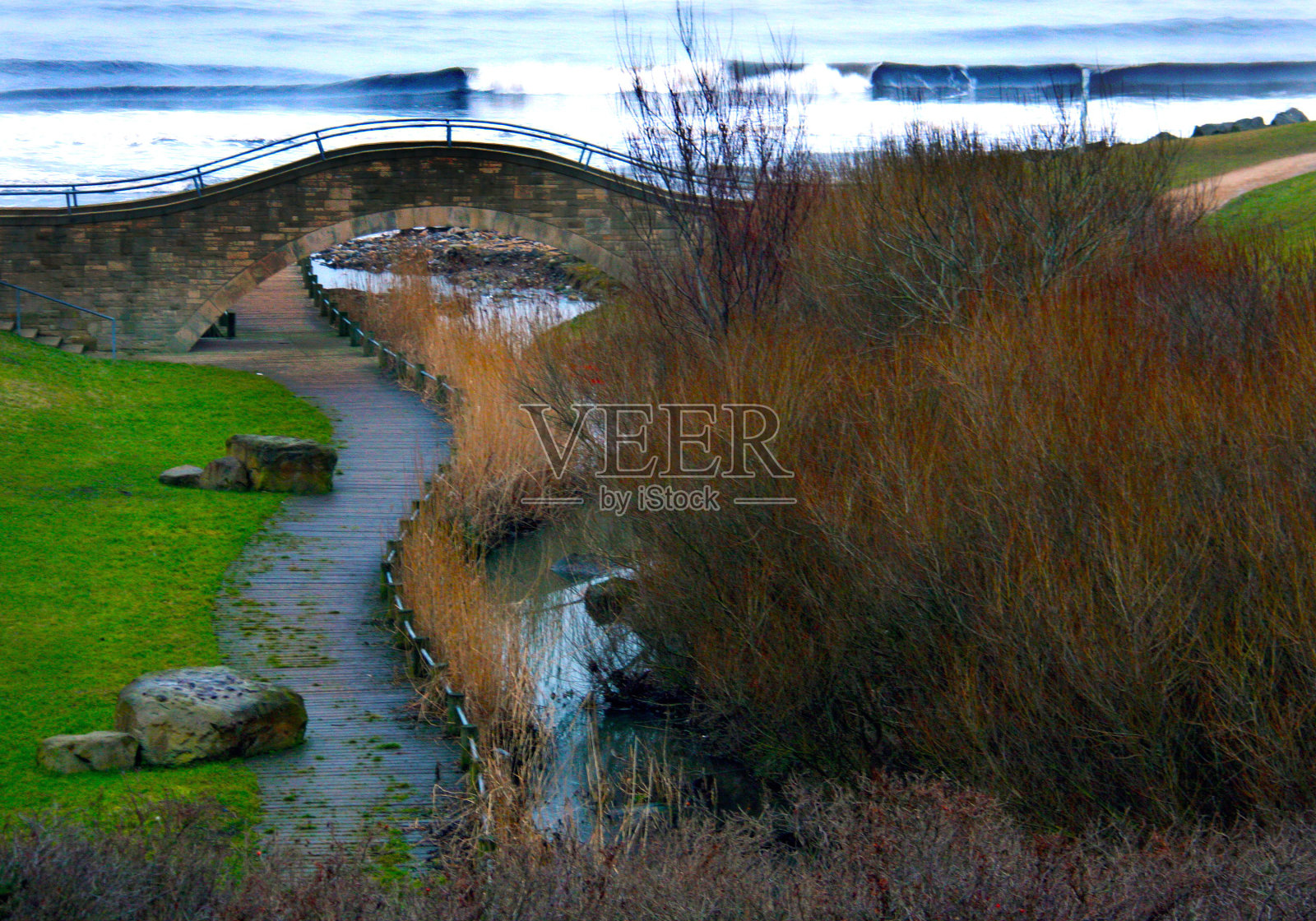通往大海的路照片摄影图片