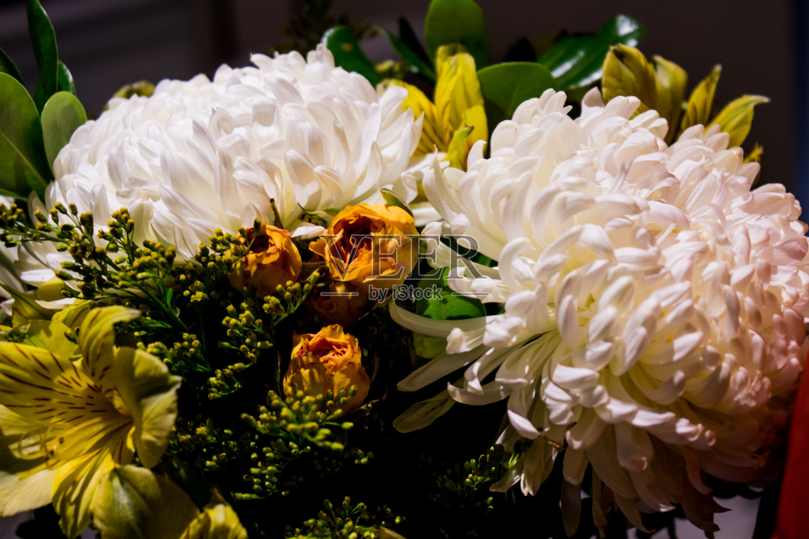 花卉。我照片摄影图片