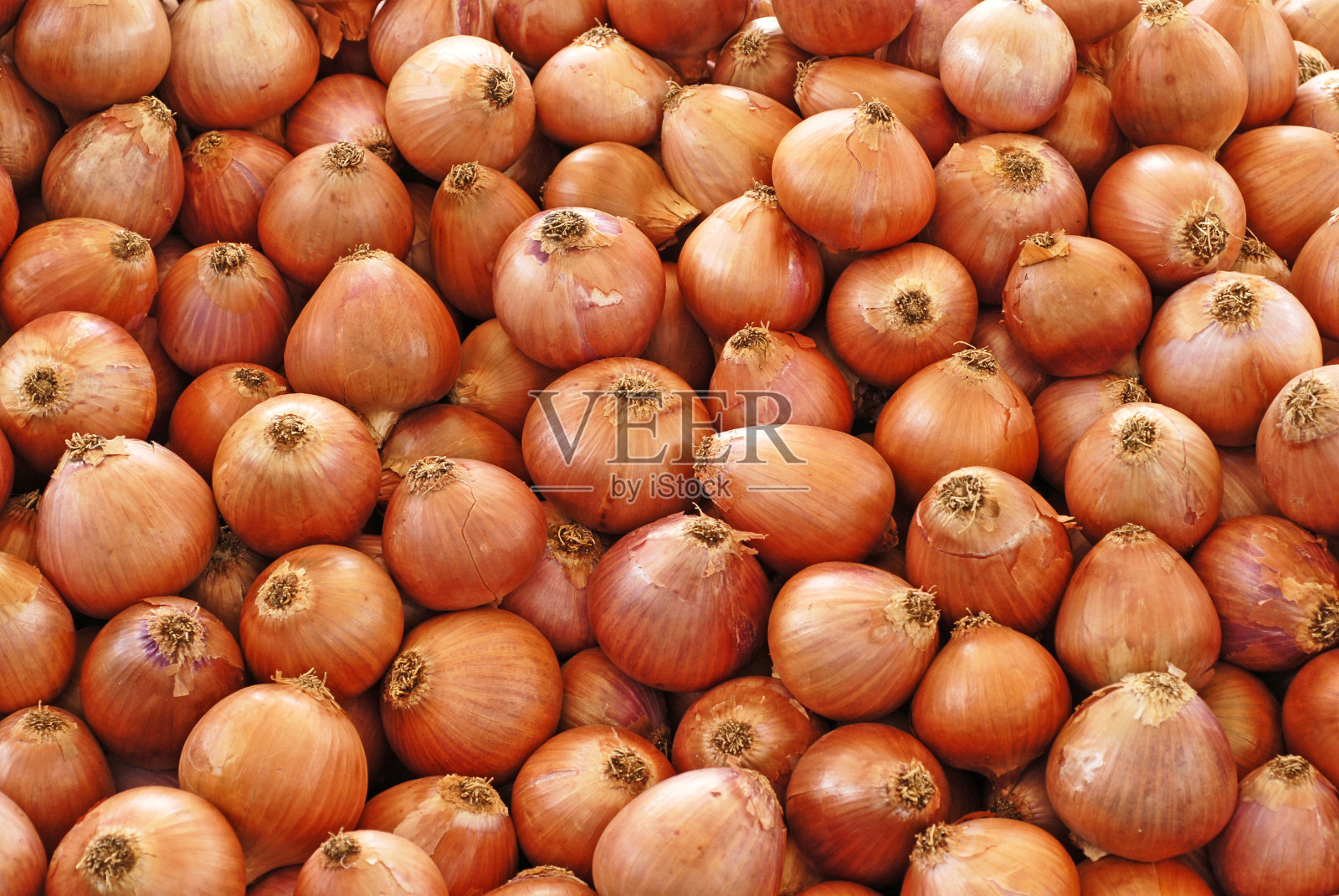 红洋葱照片摄影图片