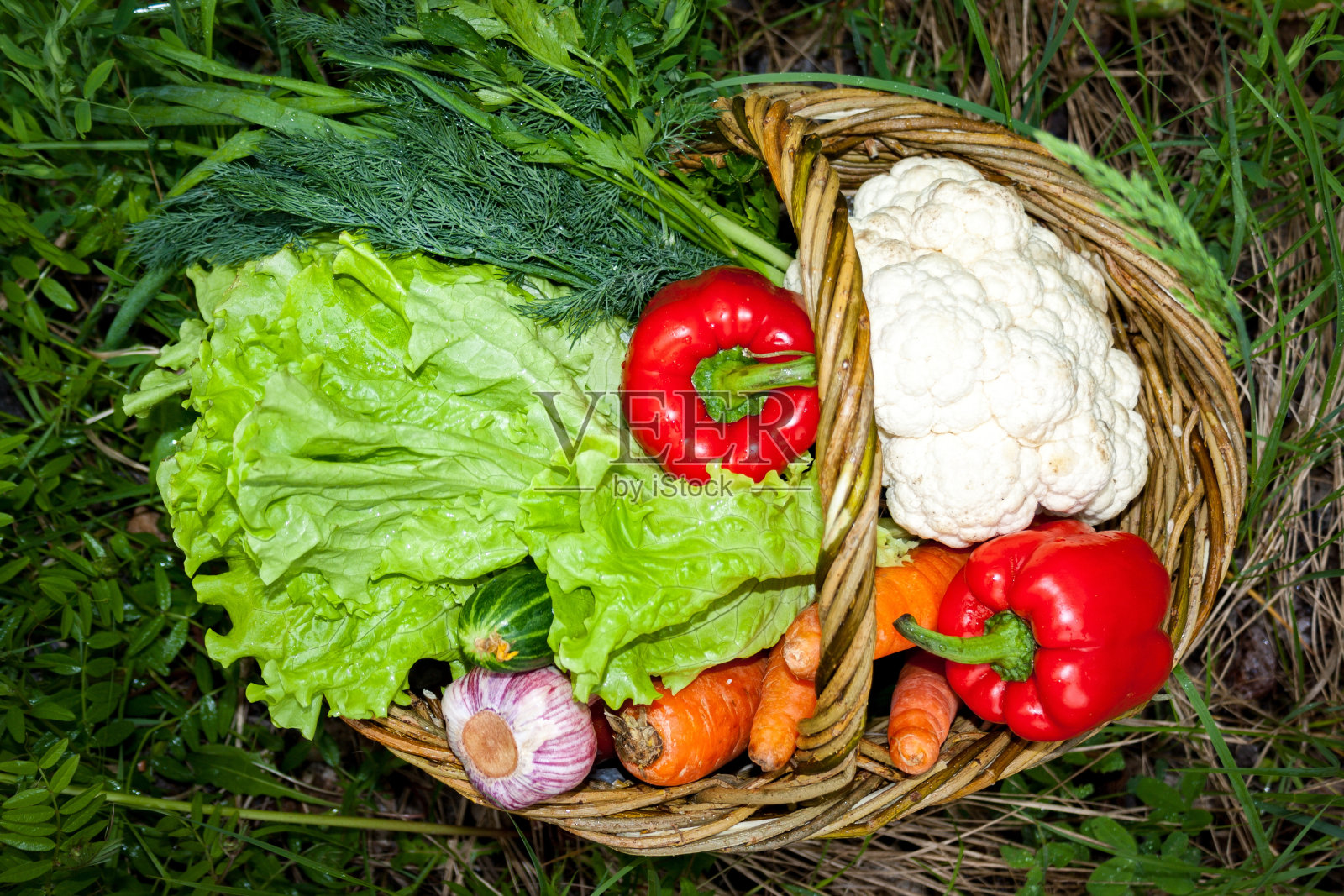 新鲜蔬菜篮照片摄影图片