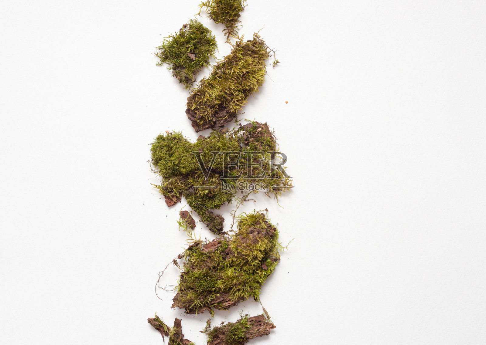 一块块青苔在白色的背景上，点缀着青苔照片摄影图片