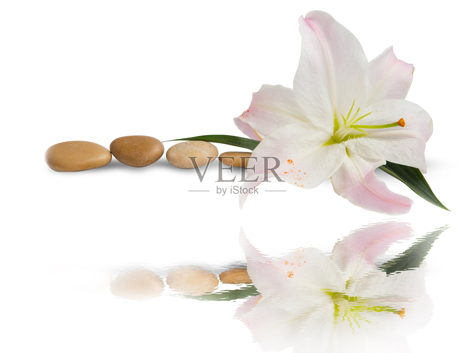 水疗中心。百合花与按摩石与水倒影隔离照片摄影图片