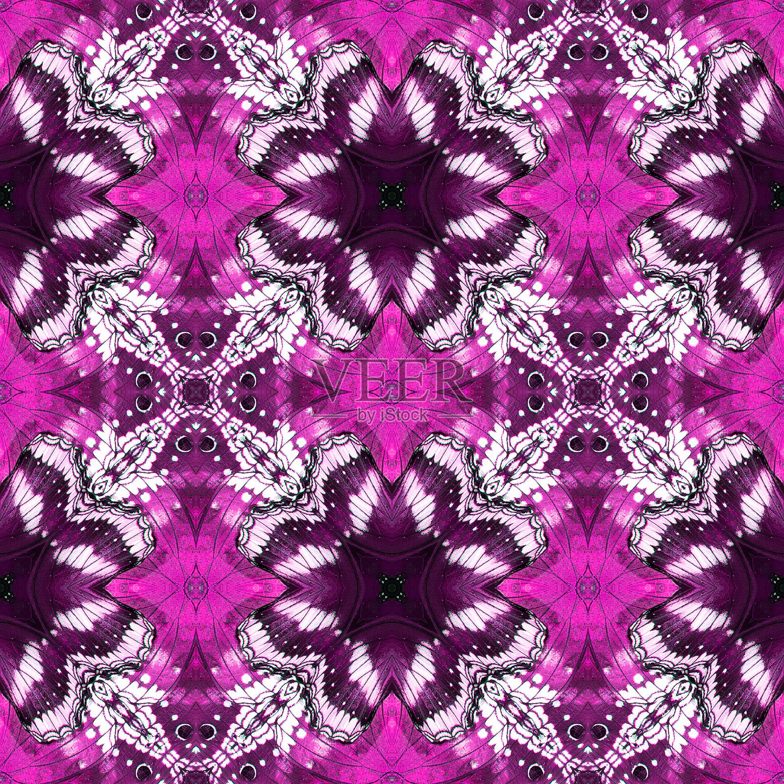 蝴蝶翅膀照片摄影图片