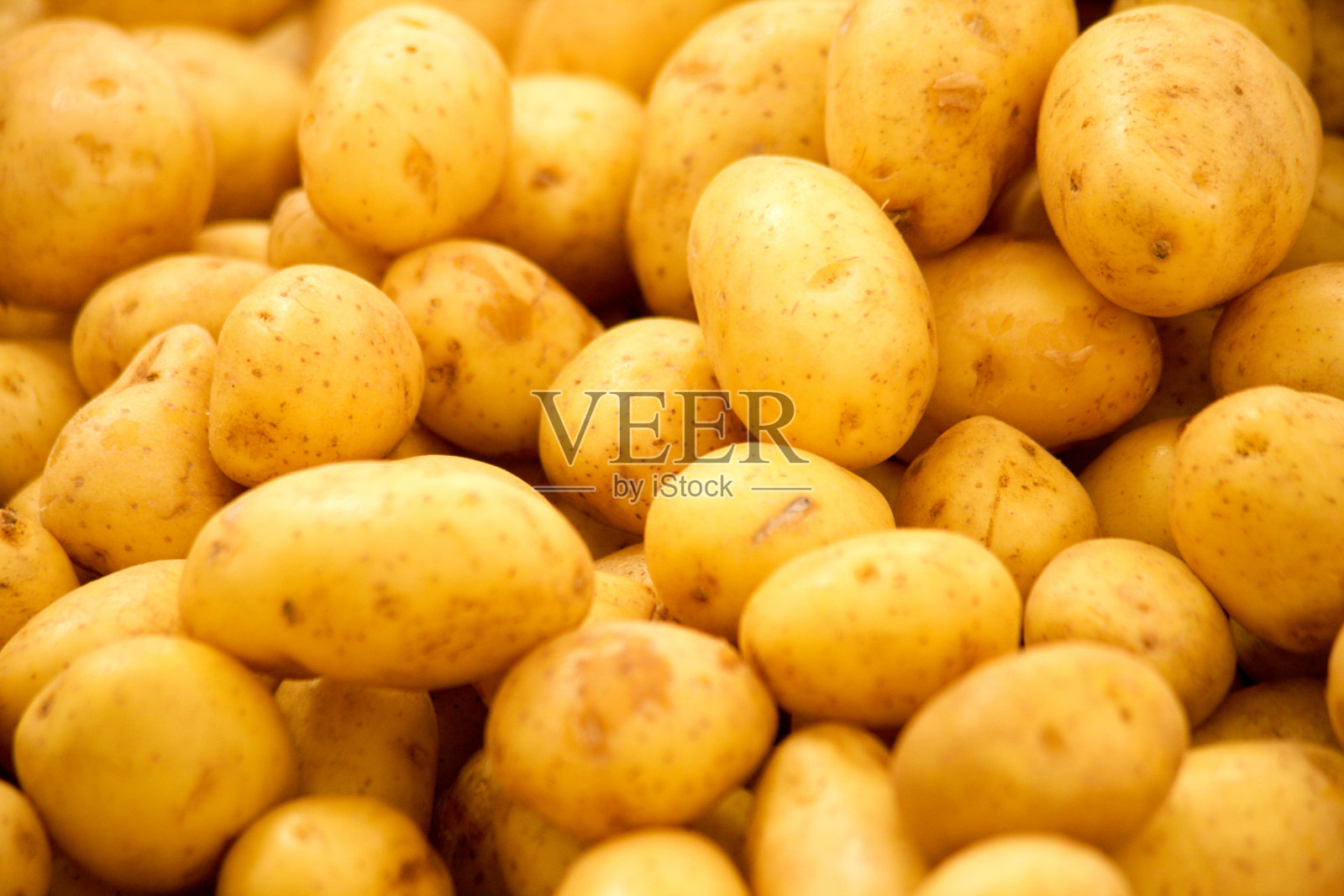 土豆照片摄影图片