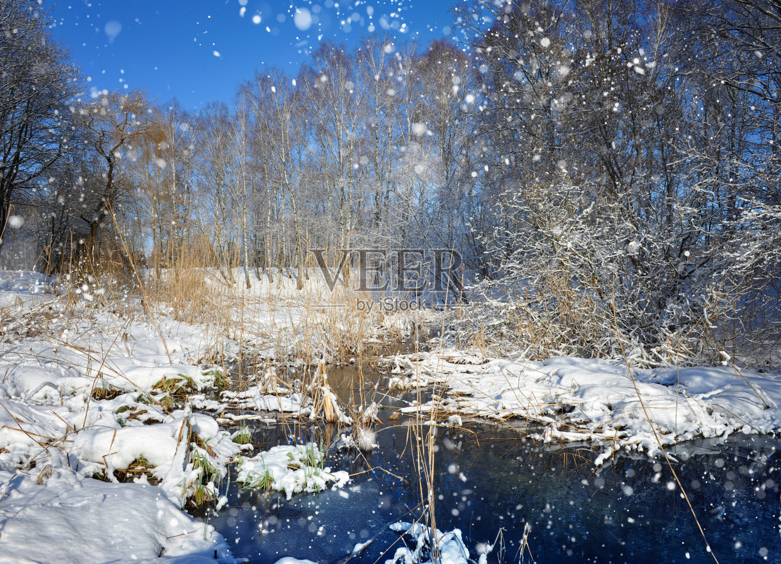美丽的冬天landscap照片摄影图片