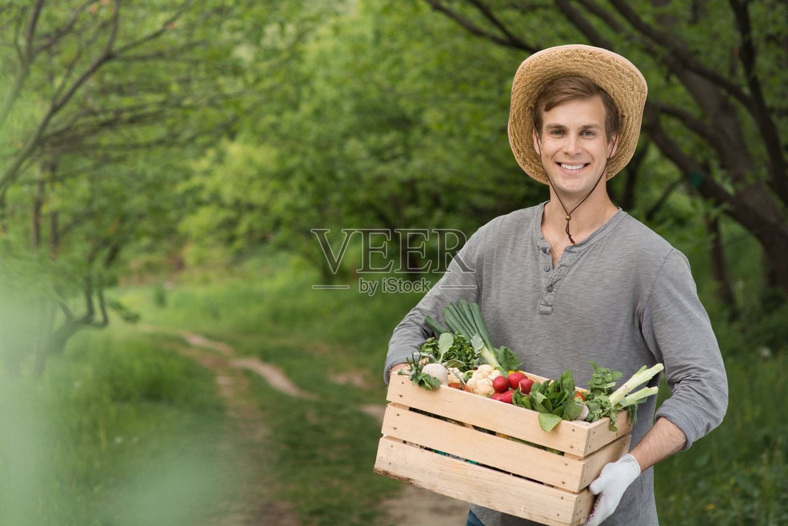生态概念的农民在花园里收获照片摄影图片