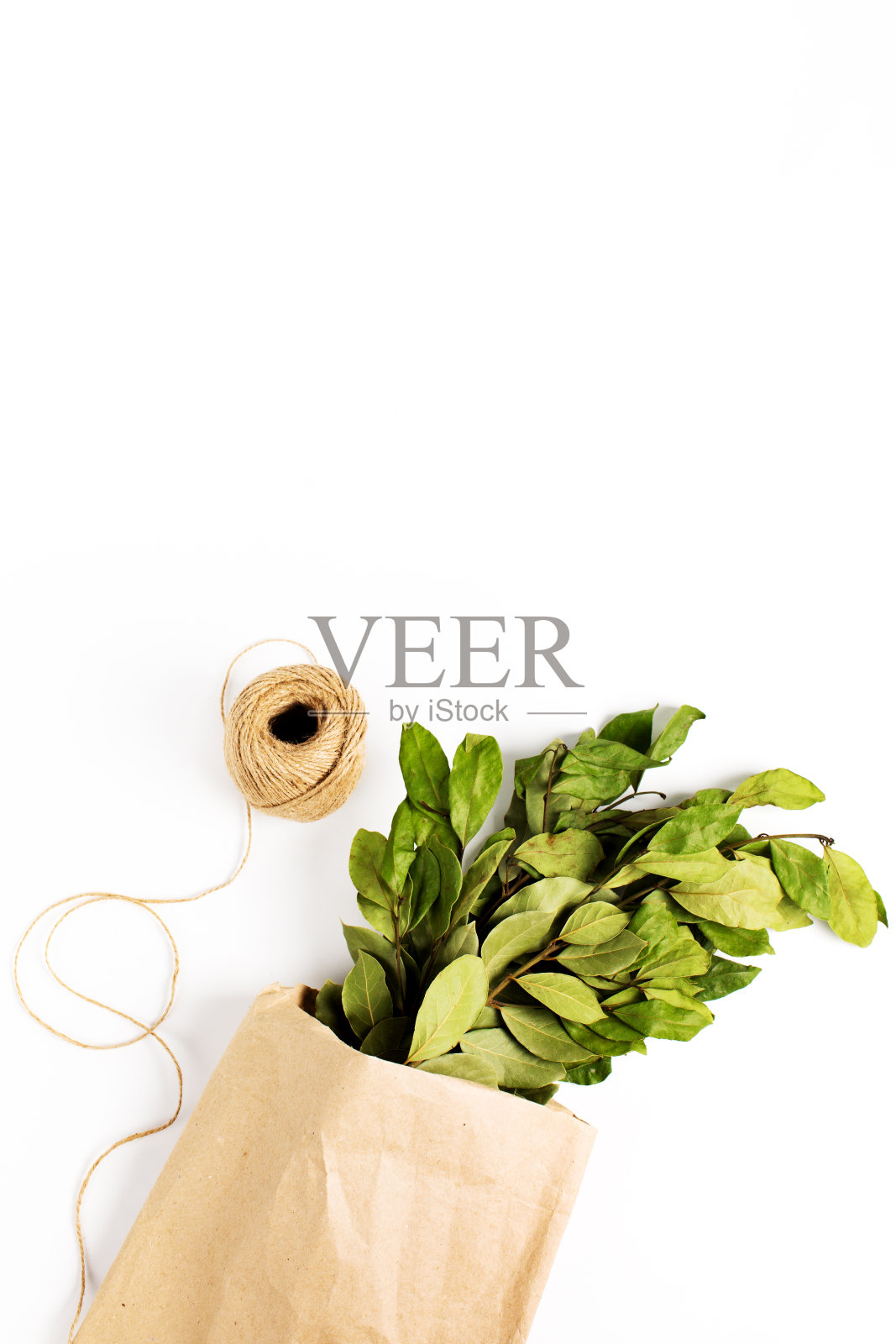 纸上的月桂树叶照片摄影图片