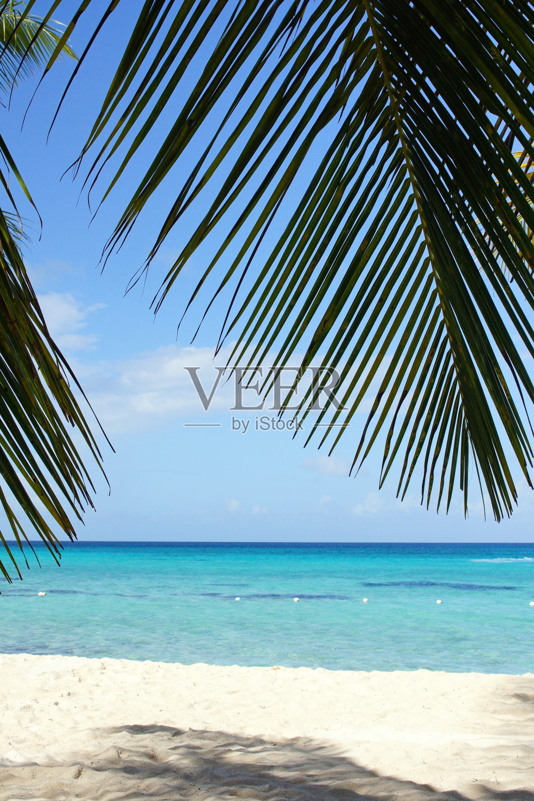 加勒比海滩，多米尼加共和国照片摄影图片