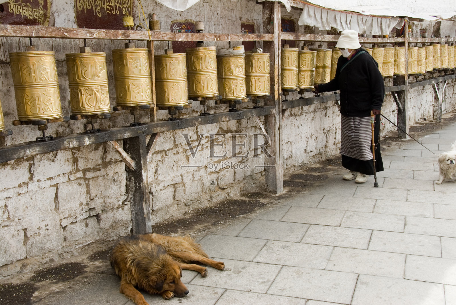 老妇人的传经轮照片摄影图片