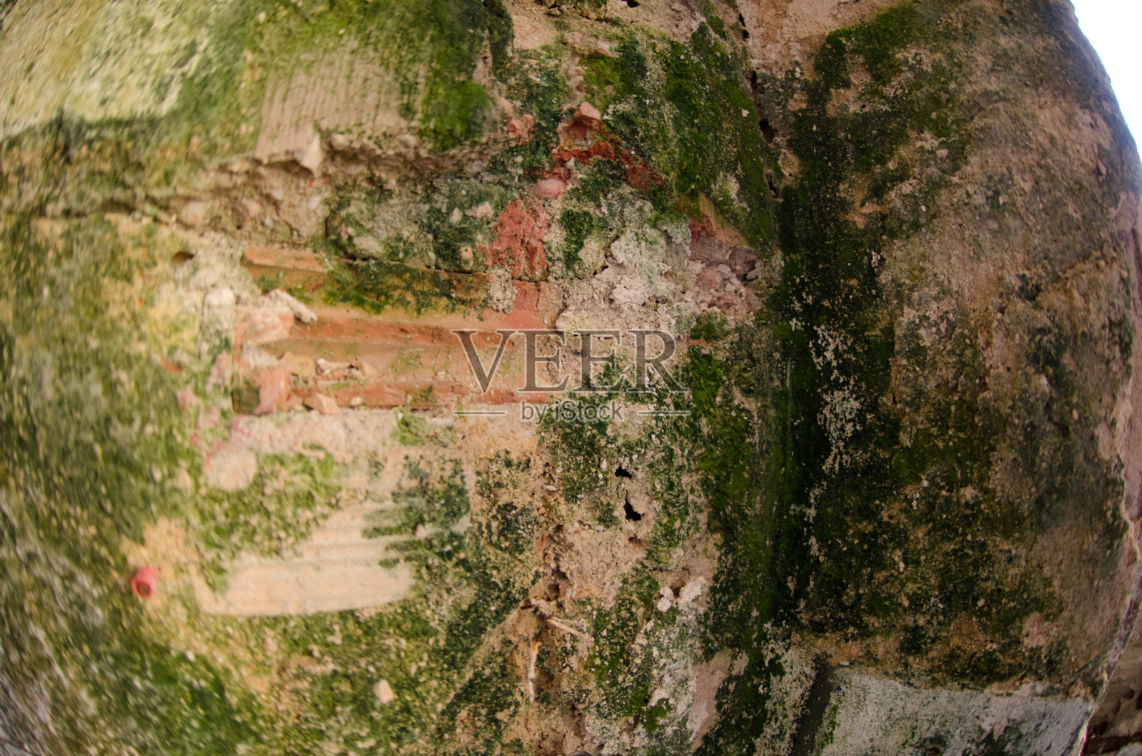 墙上有霉菌损坏，请关闭照片摄影图片