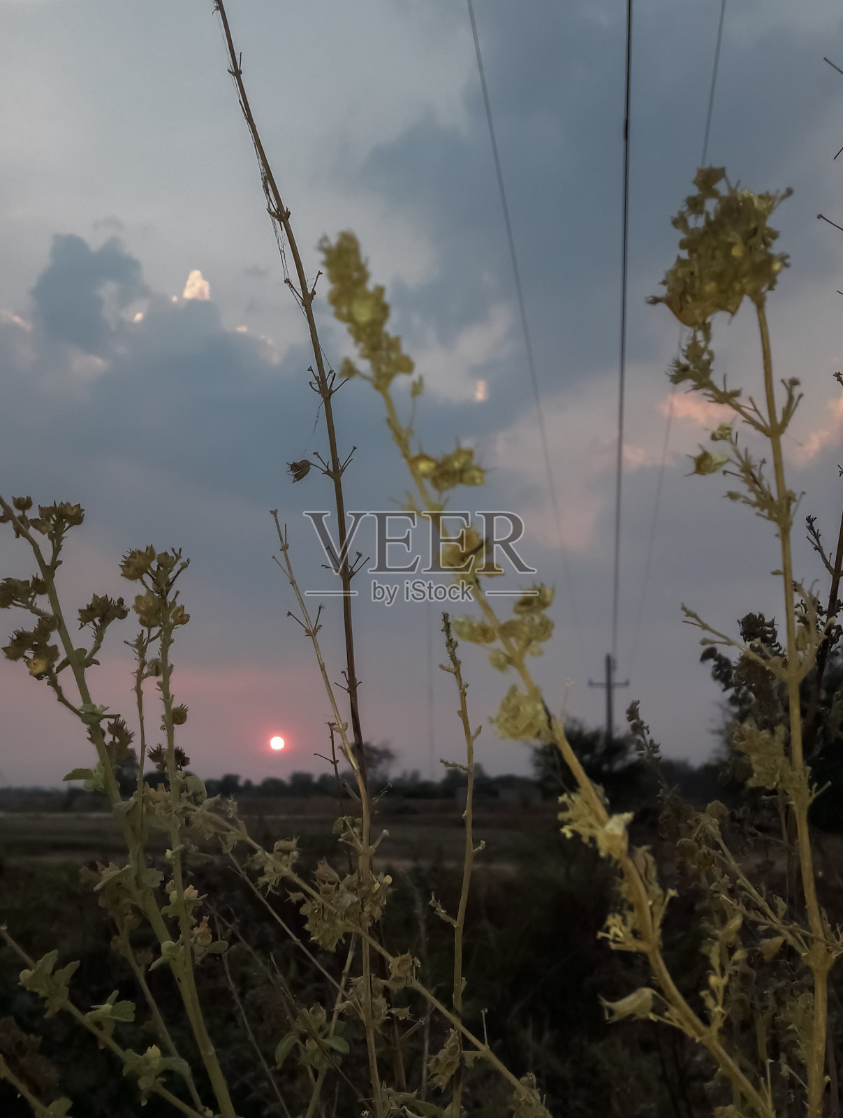 日落照片摄影图片