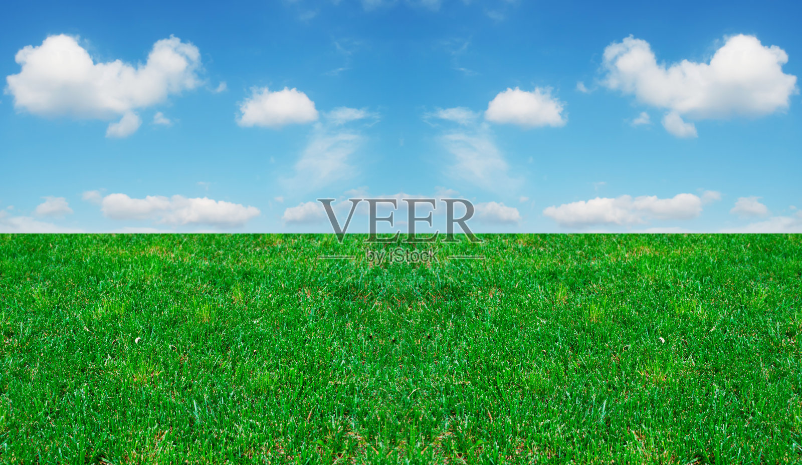 草地和多云的天空照片摄影图片