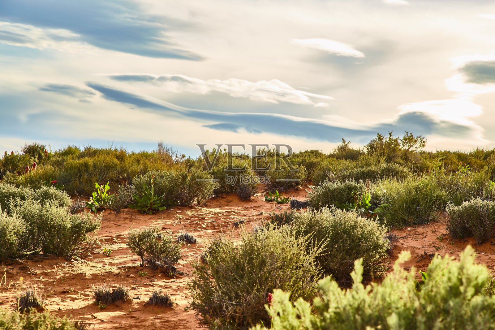 美国亚利桑那州的国家公园有着令人难以置信的美丽风景照片摄影图片