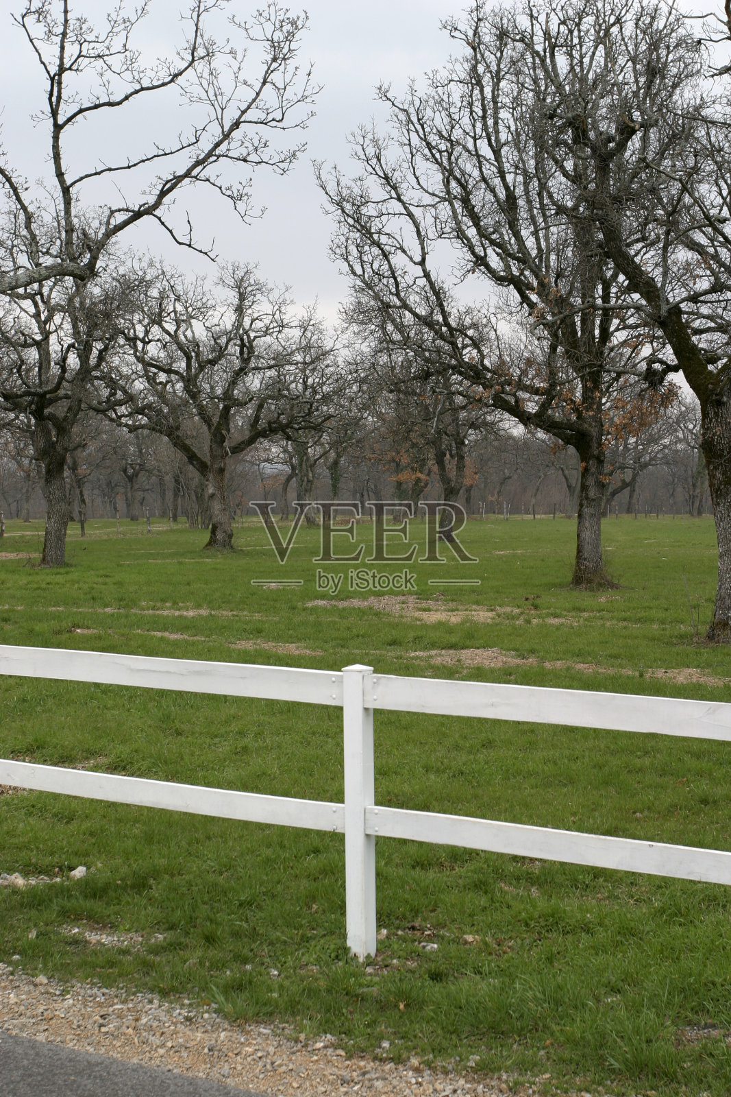 牧场照片摄影图片