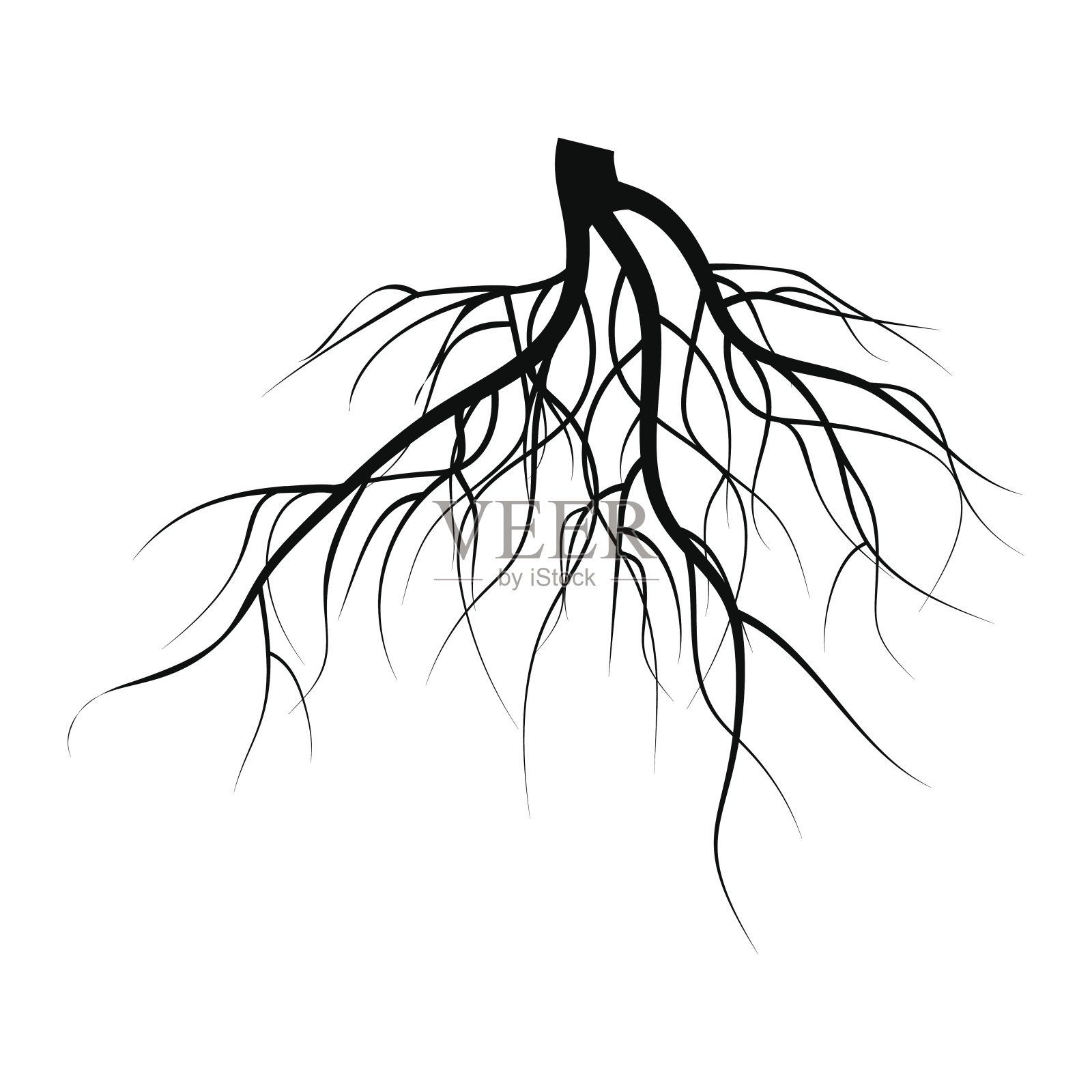 树地下根向量集。插图孤立的白色背景设计元素图片