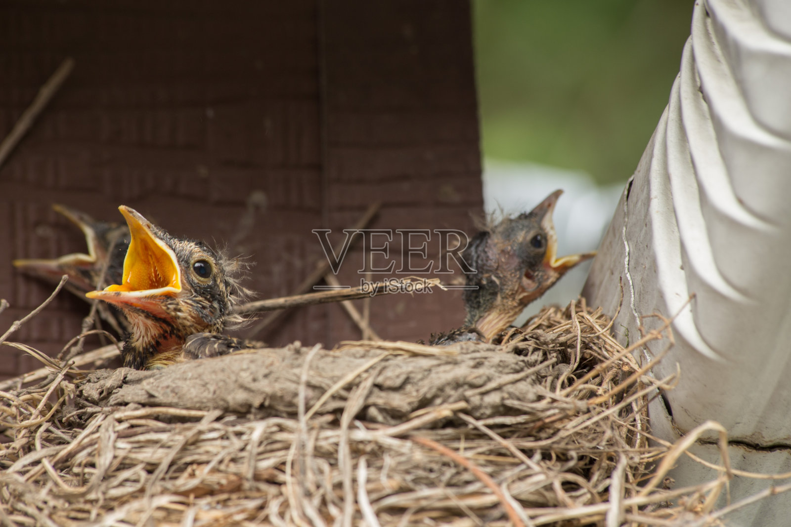 妈妈，你在哪里?!照片摄影图片