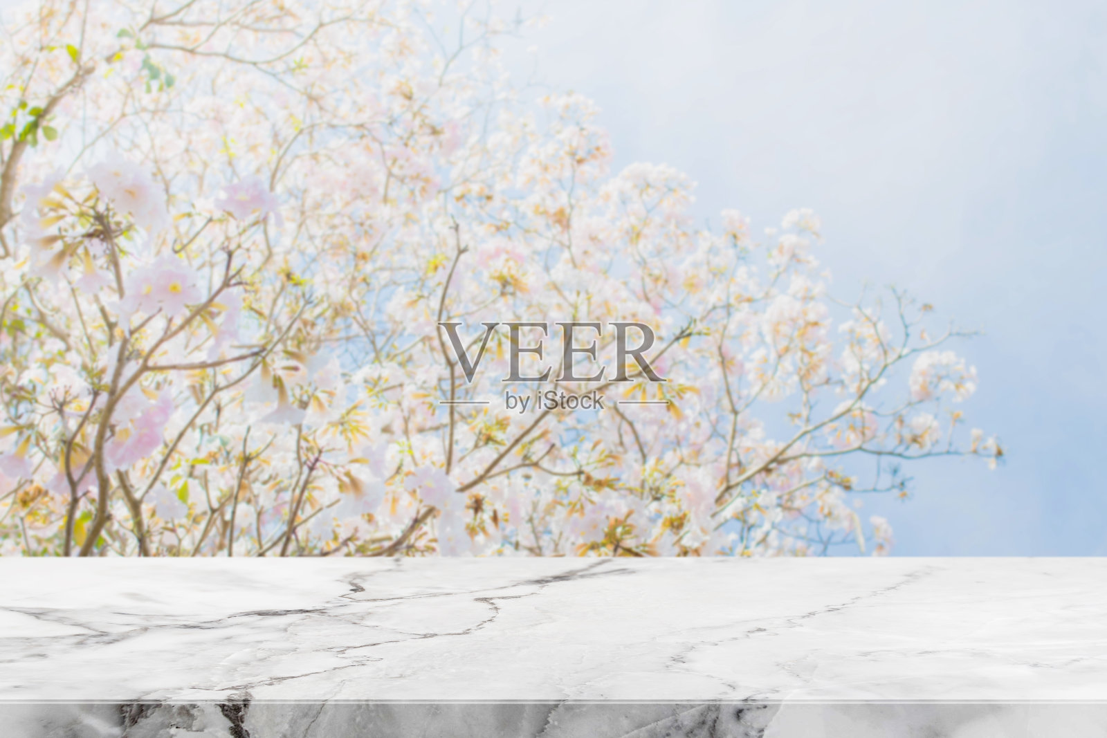 石头桌面和模糊的鲜花背景与复古滤镜照片摄影图片