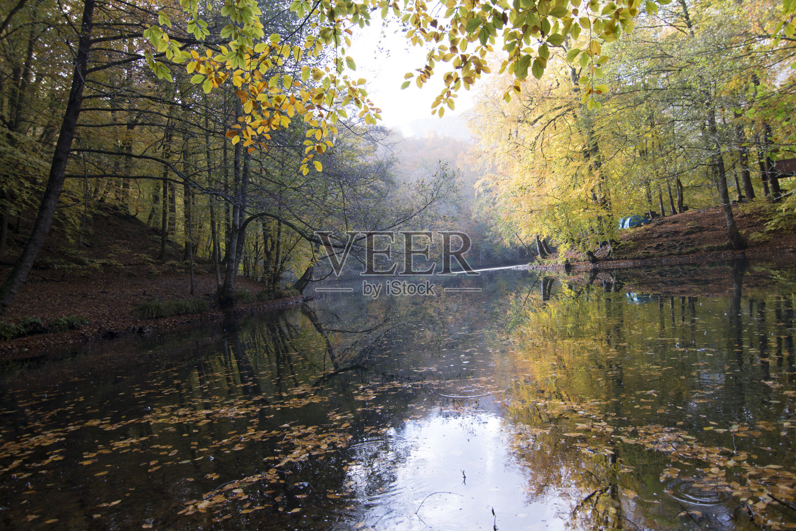 Yedigoller国家公园。照片摄影图片