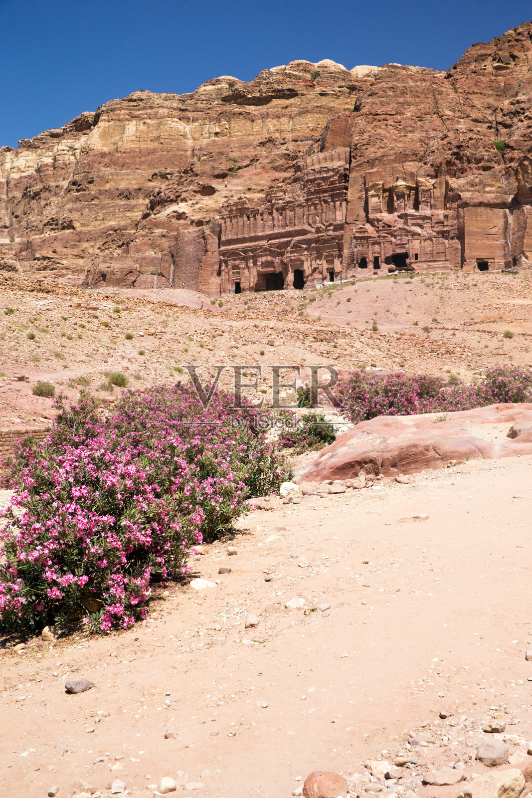 约旦佩特拉古城照片摄影图片
