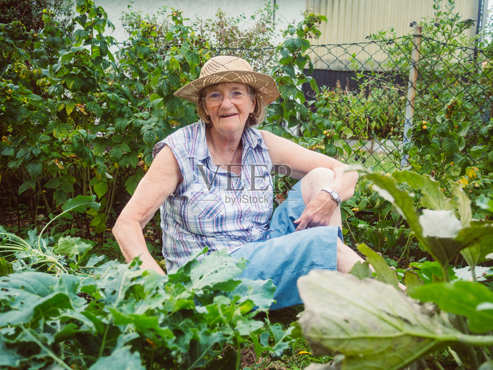 微笑的年长妇女在花坛中园艺照片摄影图片